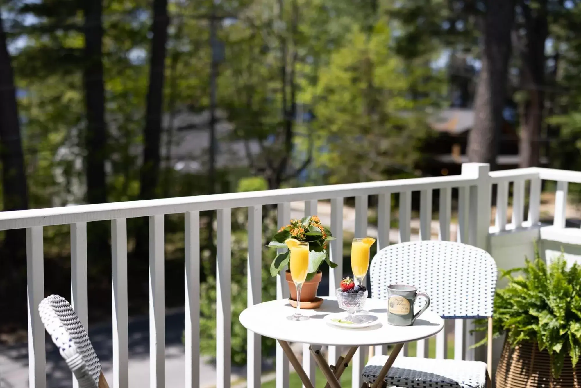 Balcony/Terrace in Noble House Inn