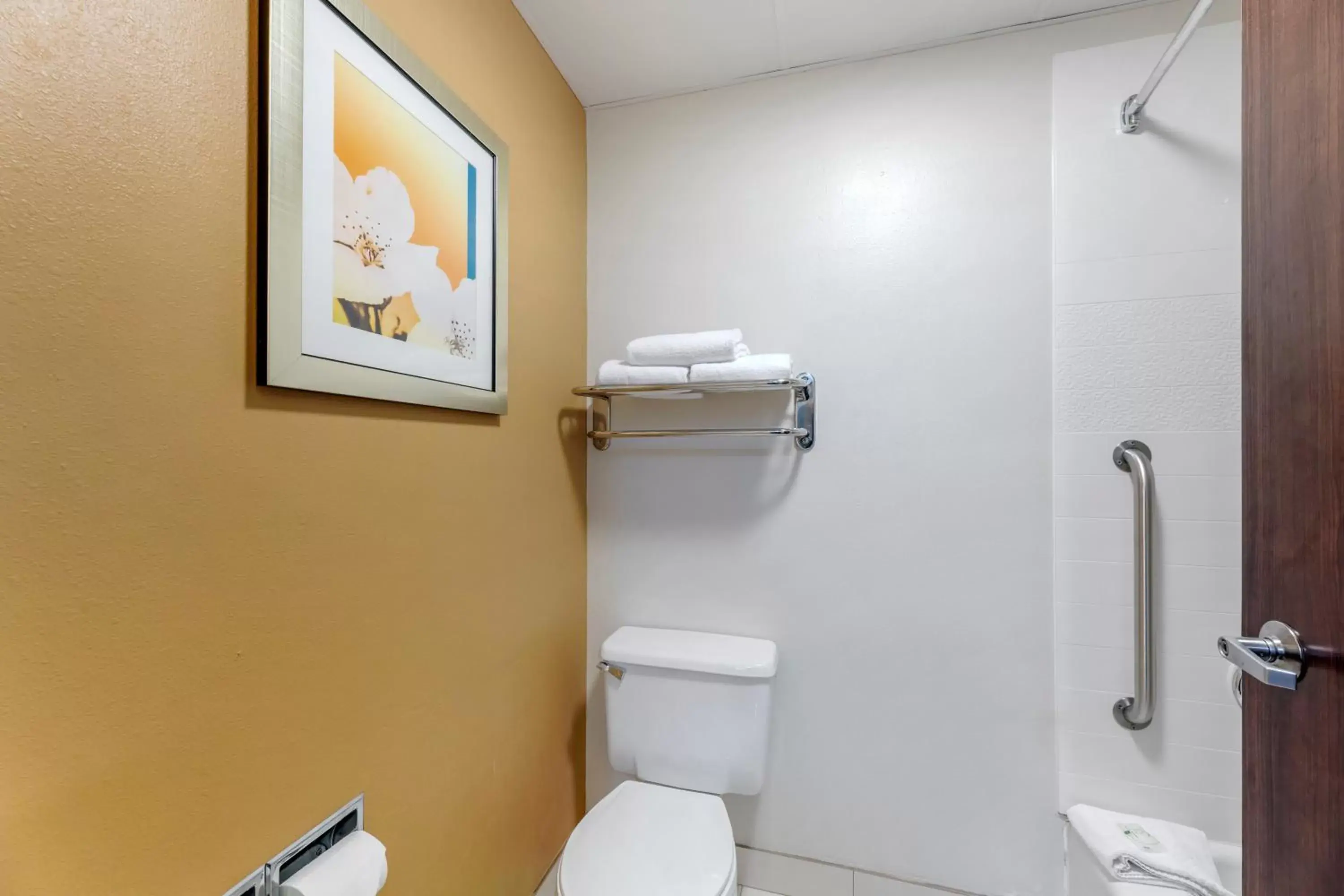 Bathroom in Quality Inn & Suites Sandusky