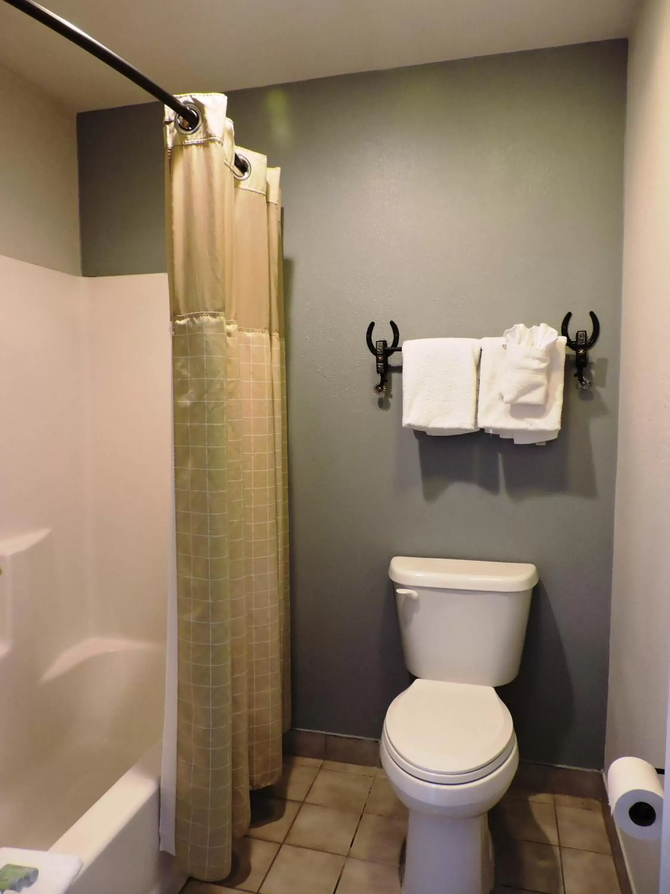 Bathroom in Riata Inn - Presidio