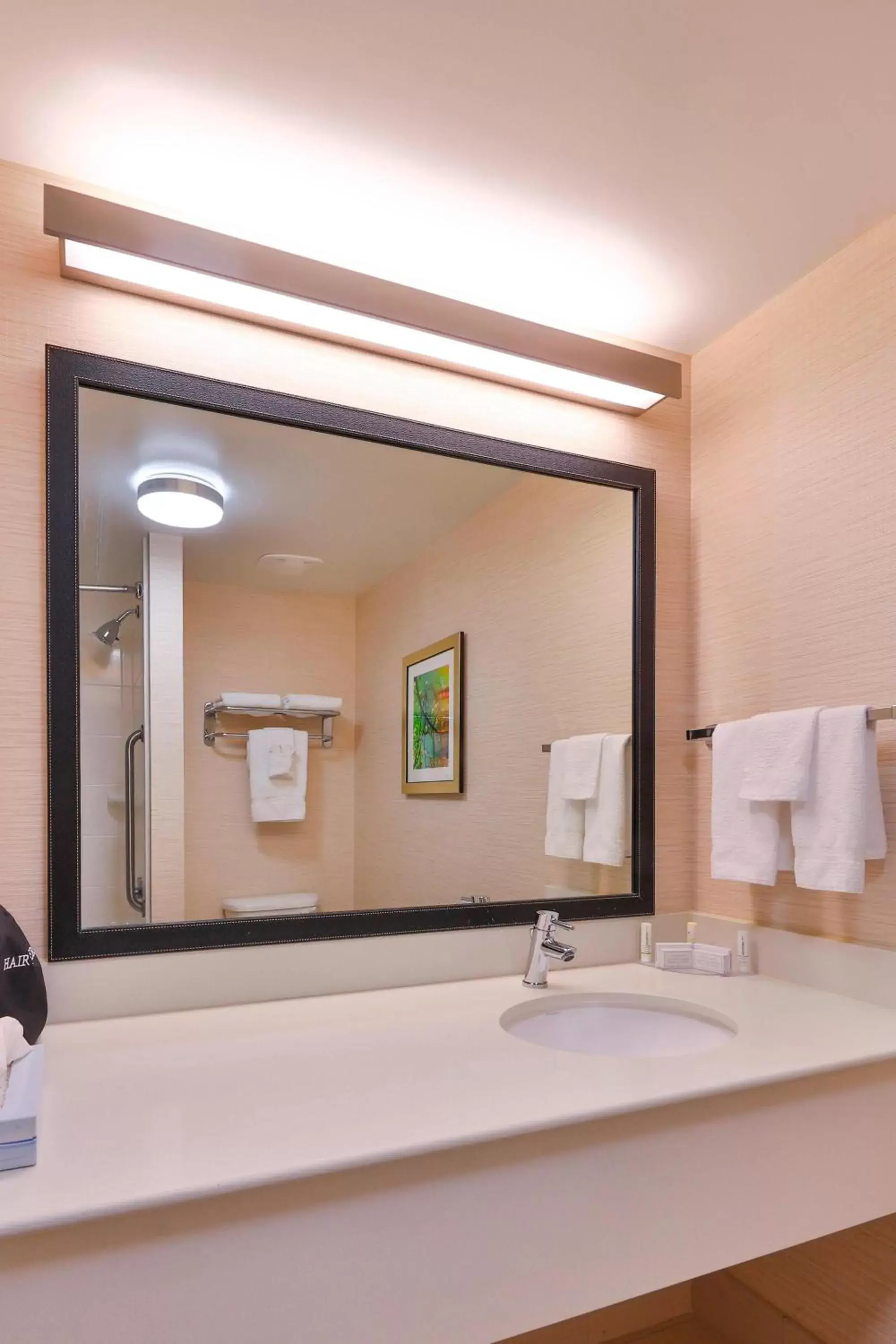 Bathroom in Fairfield Inn by Marriott Lexington Park Patuxent River Naval Air Station