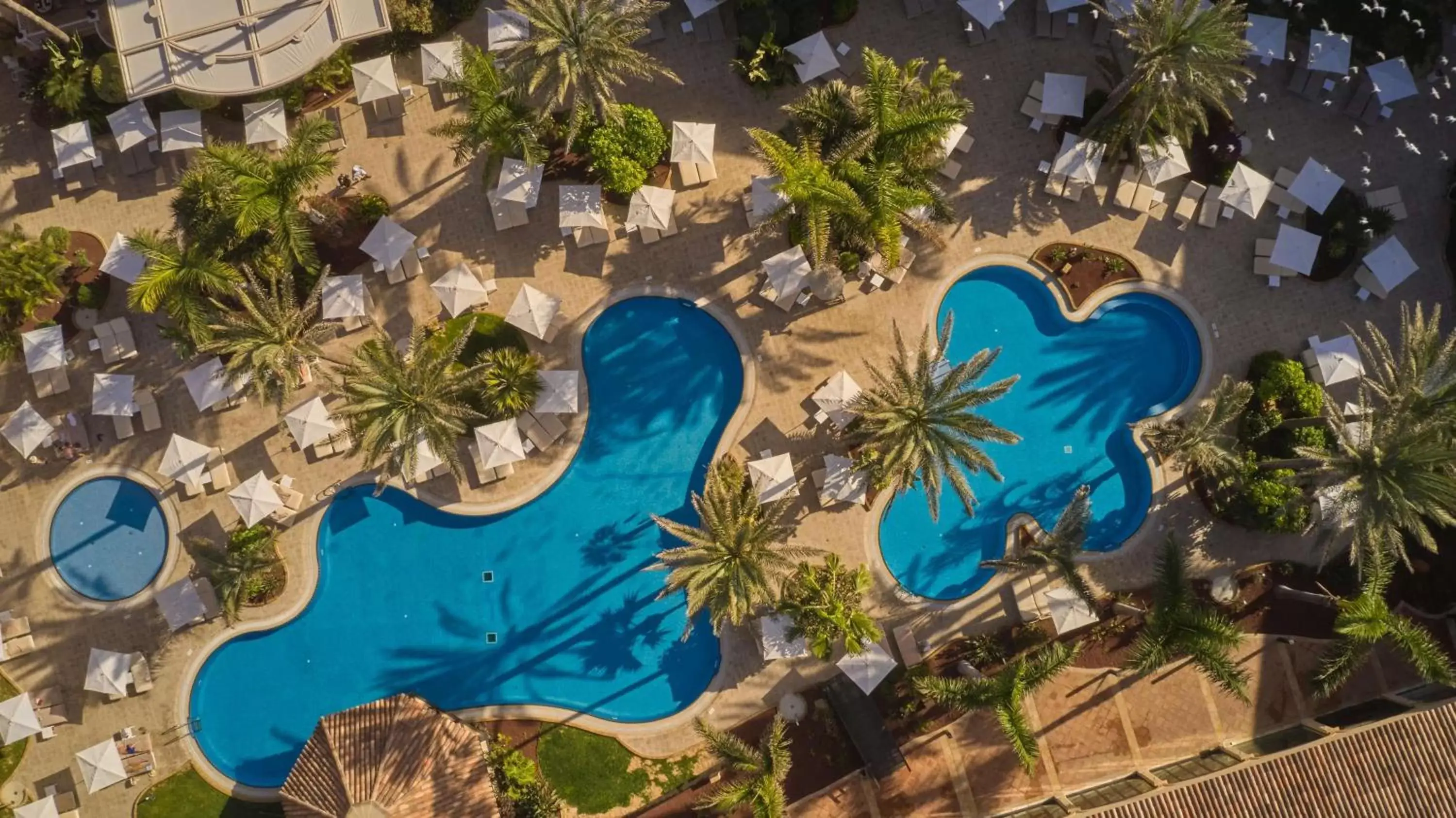 Swimming pool, Pool View in Secrets Bahía Real Resort & Spa Adults only