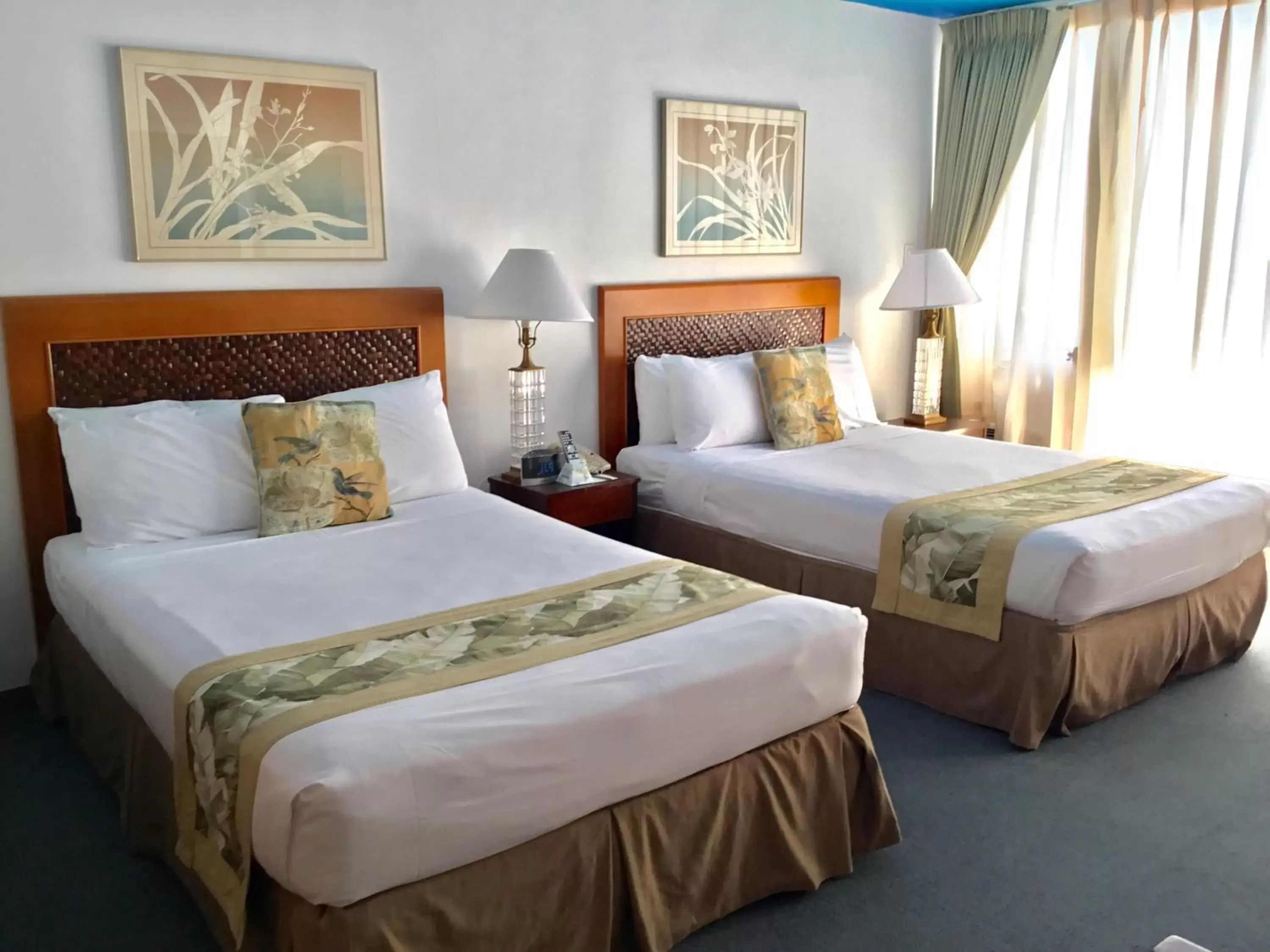 Bed in Holiday Surf Hotel (with full kitchen)