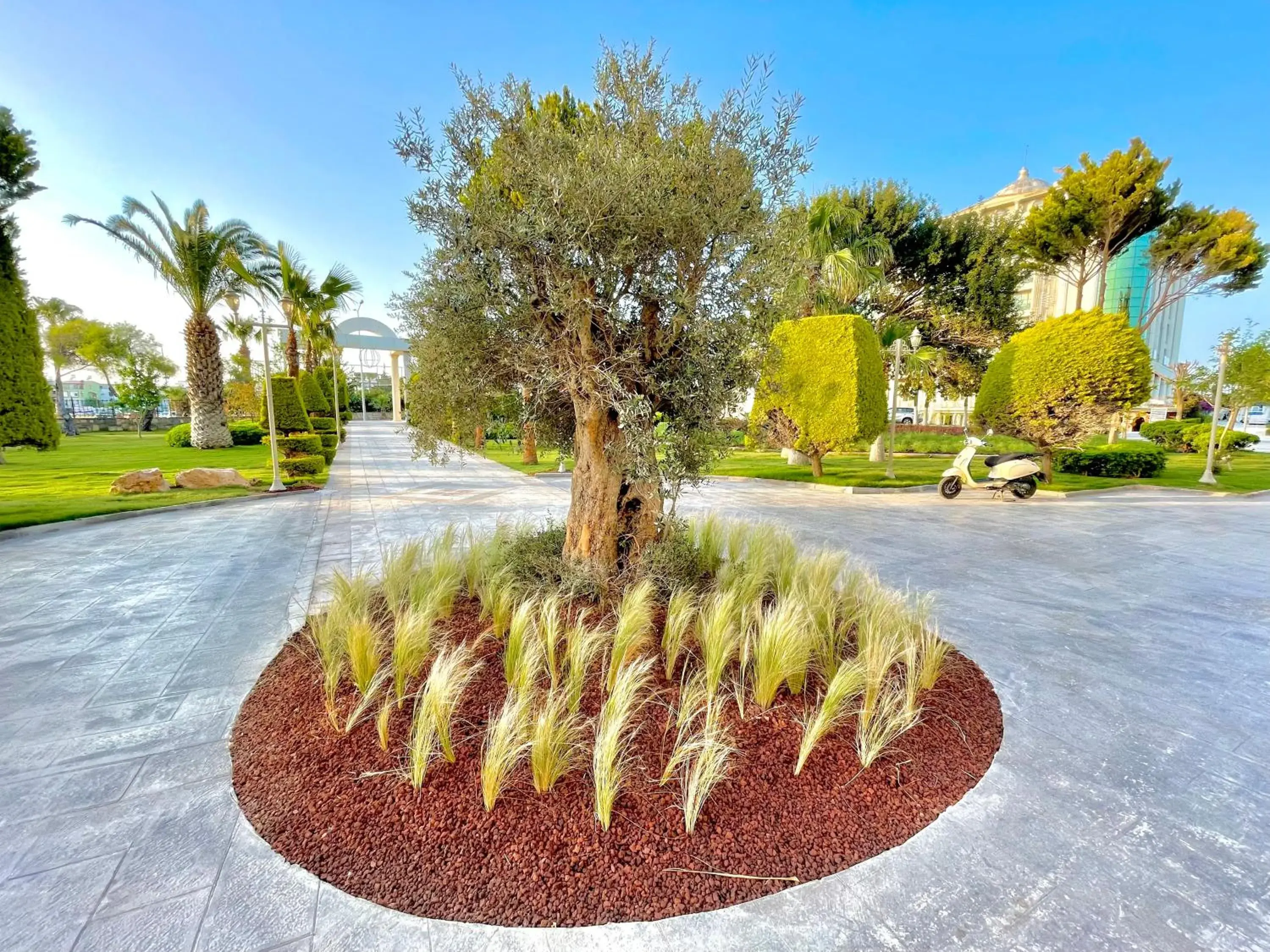 Garden in LAUR HOTELS Experience & Elegance