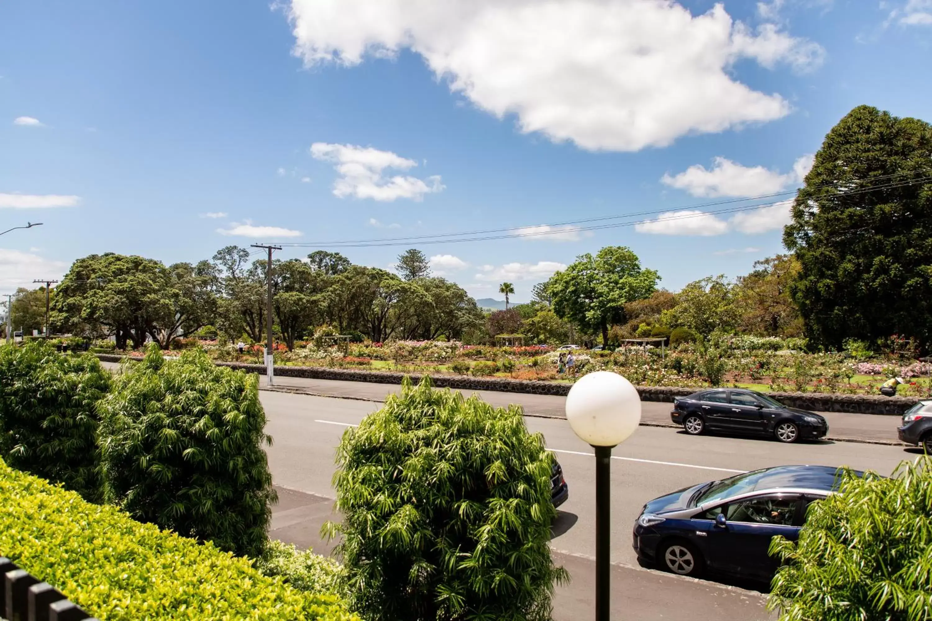 Garden view in Auckland Rose Park Hotel