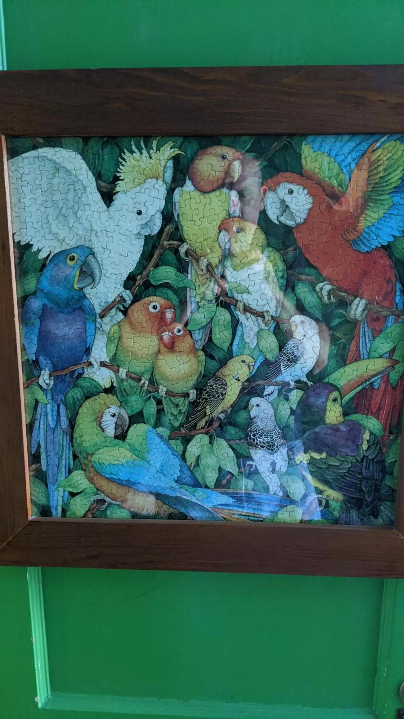 Standard Family Room in The Pirate Haus Inn Standard Family Room in The Pirate Haus Inn