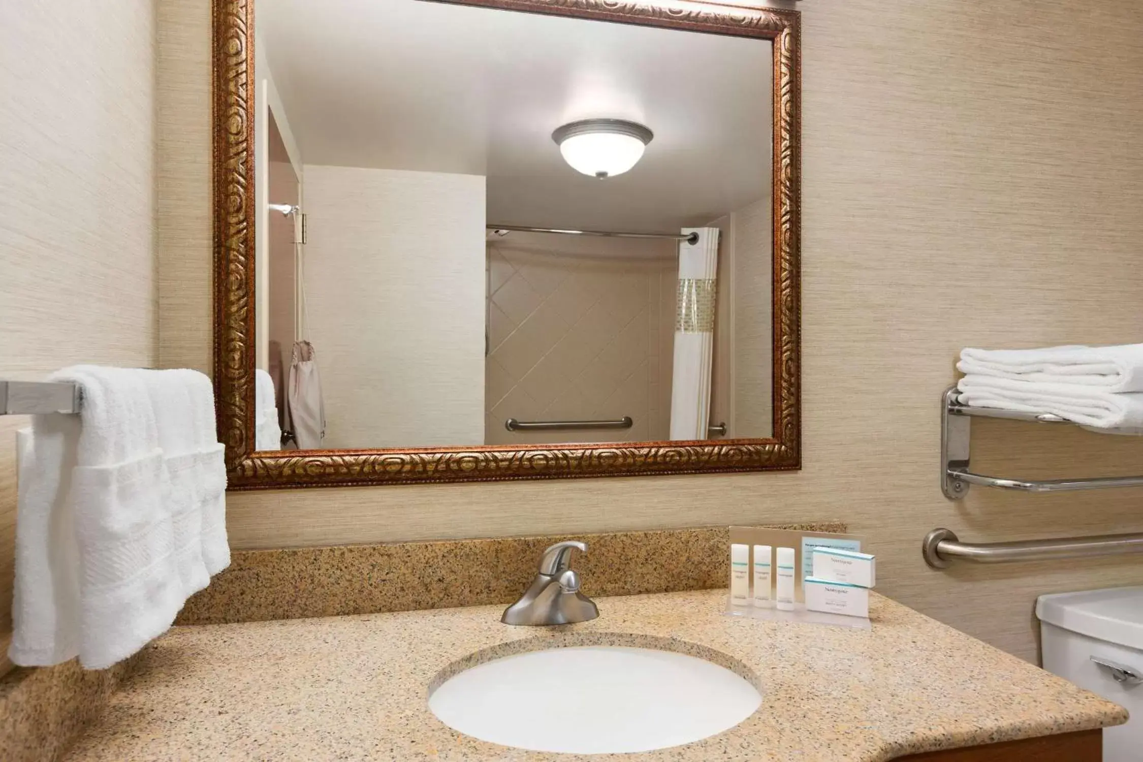 Bathroom in Hampton Inn & Suites Williamsburg Historic District