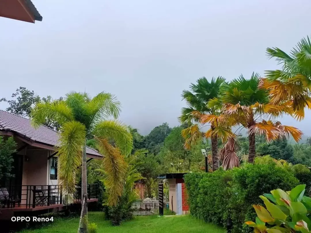 Khaosok Rainforest Resort Khaosok Rainforest Resort