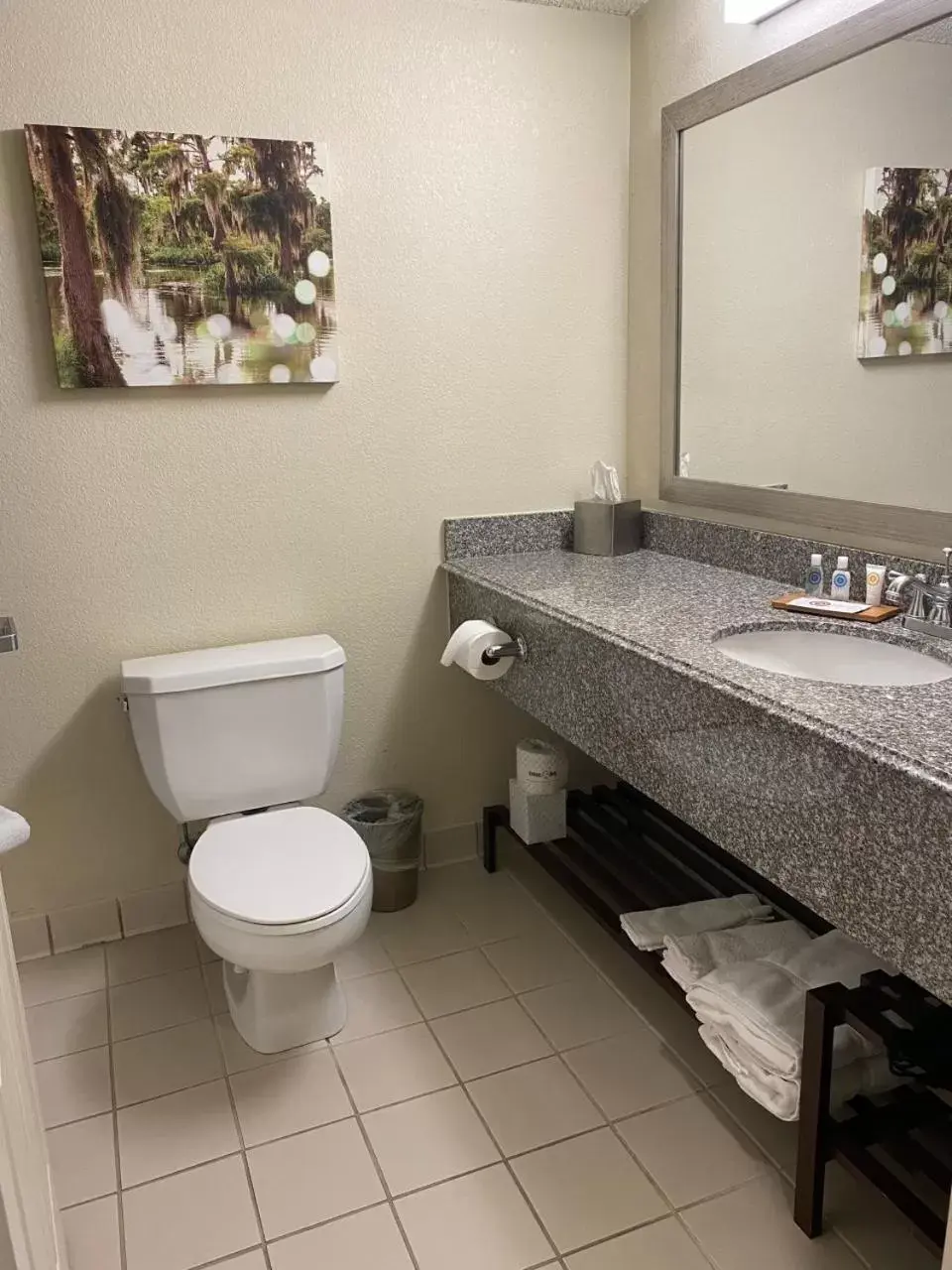 Bathroom in Comfort Inn & Suites New Orleans Airport North