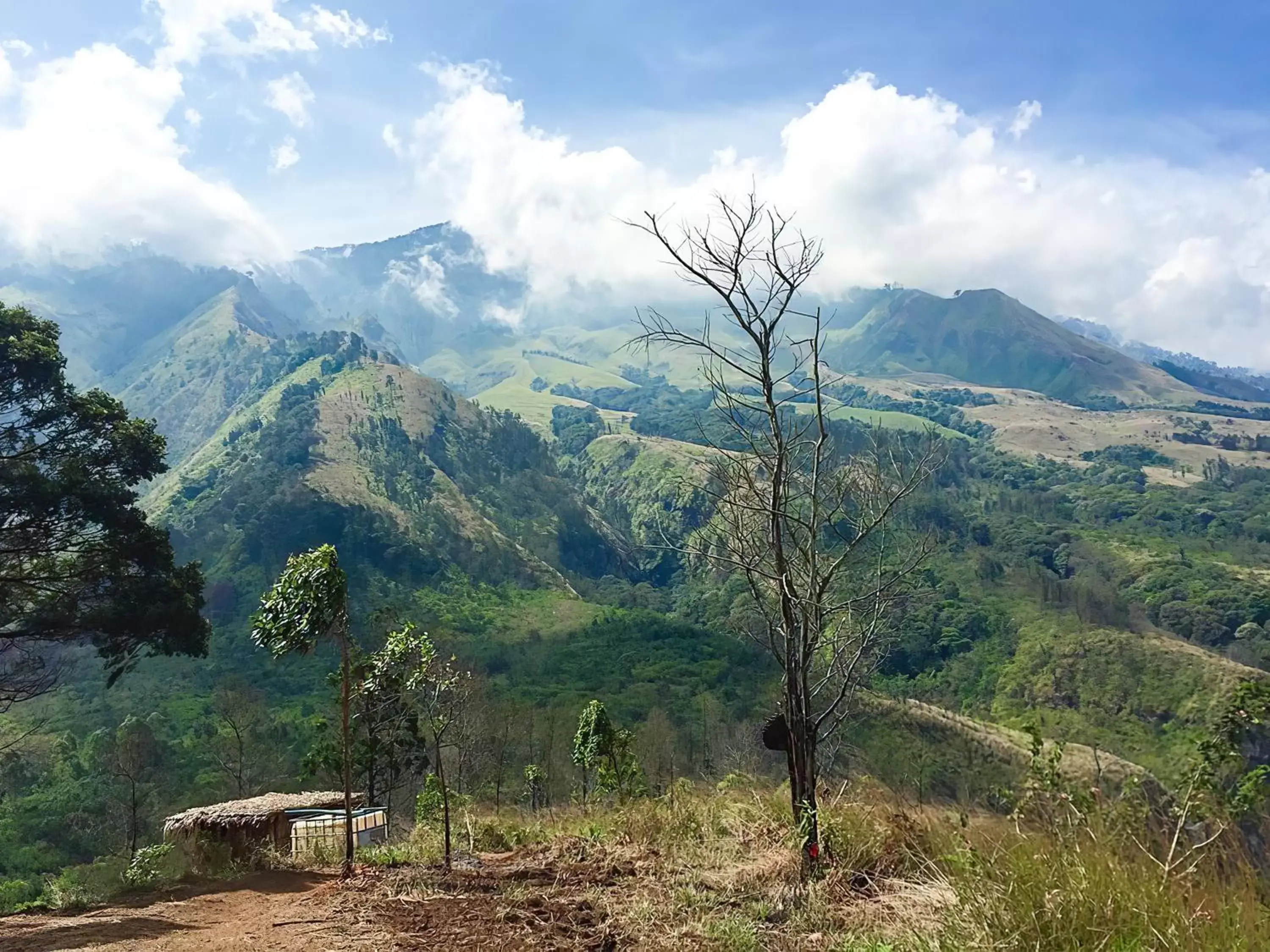 Mountain View in Grand Mercure Malang