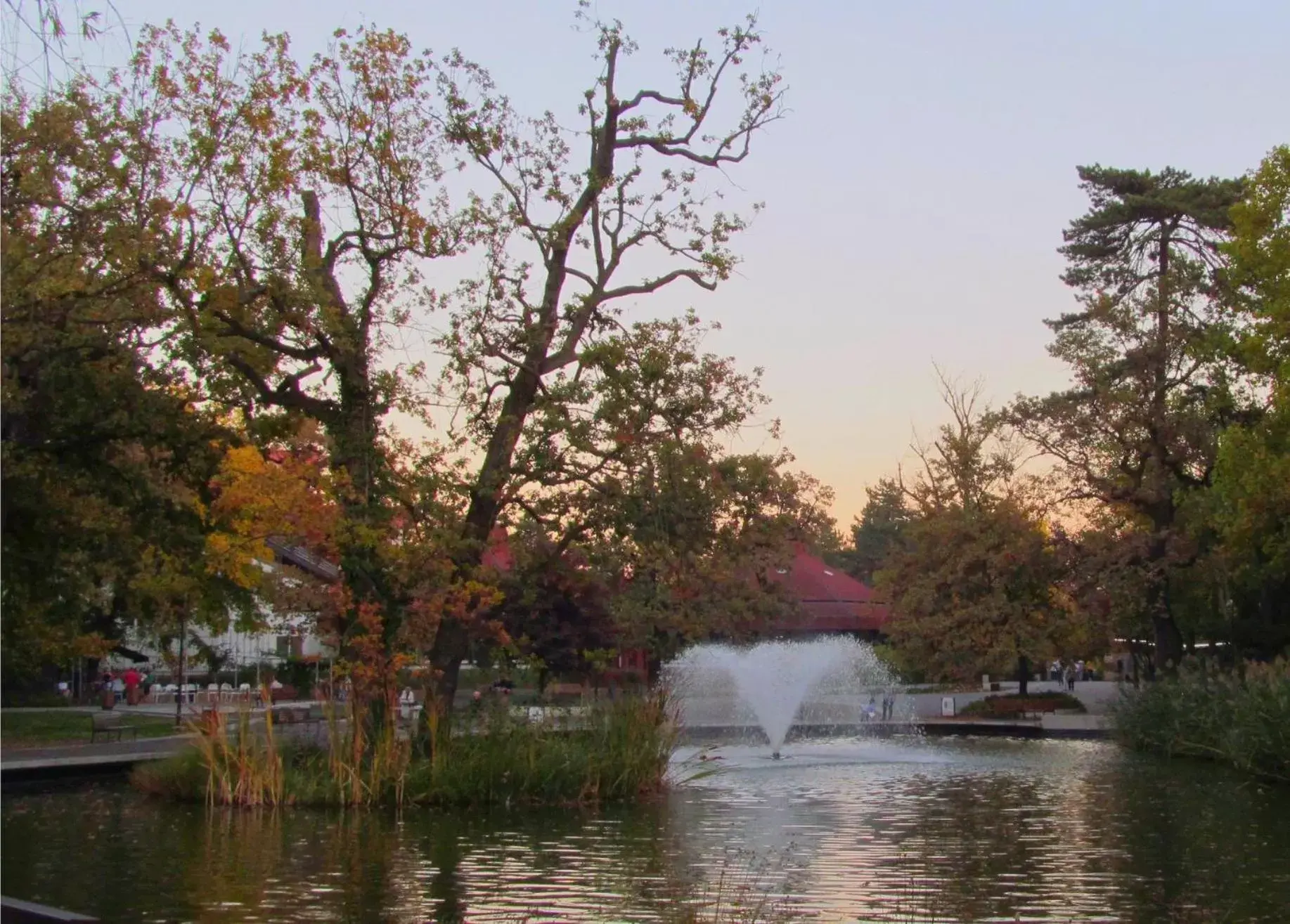 Natural landscape in Hotel Divinus