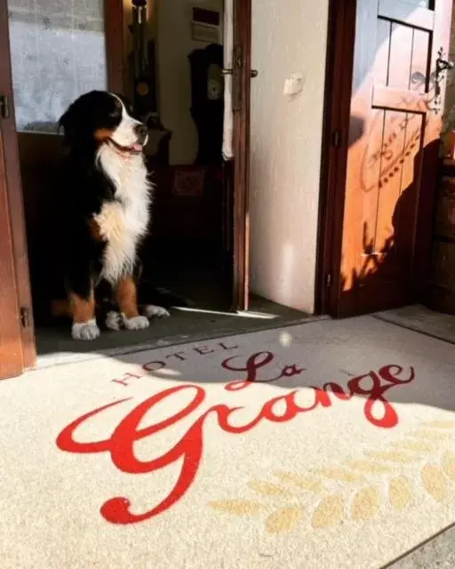 Facade/entrance, Pets in Hotel La Grange - Animal Chic Hotel