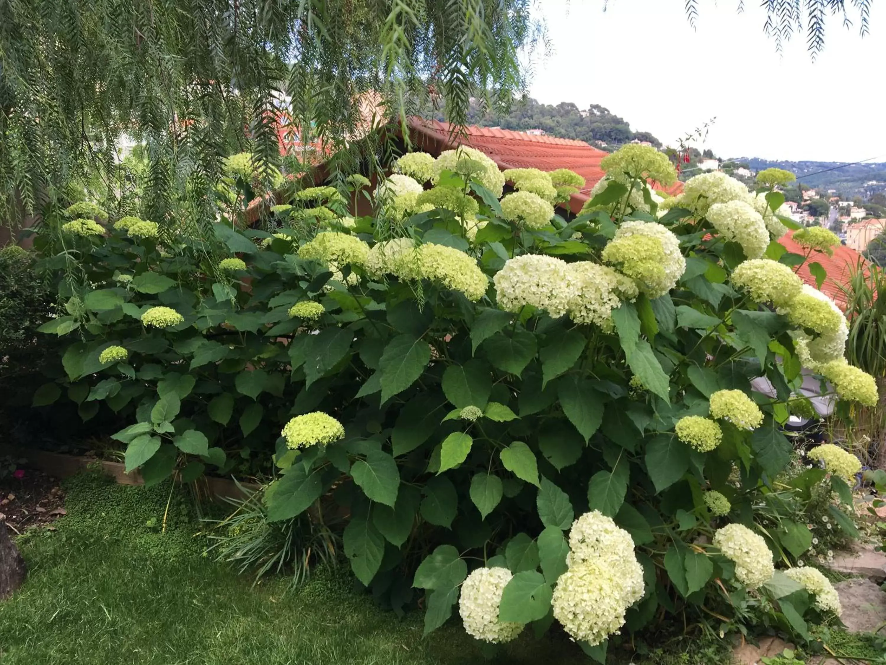 Property building, Garden in Skylark Bed & Breakfast