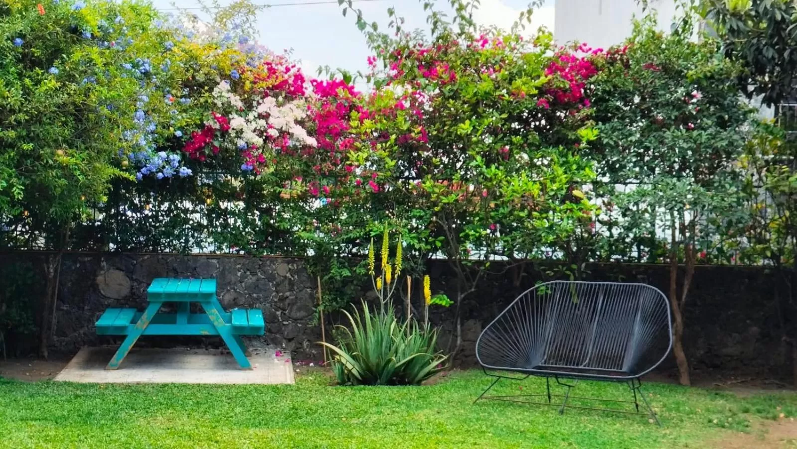 Garden view in Colibrí Turquesa