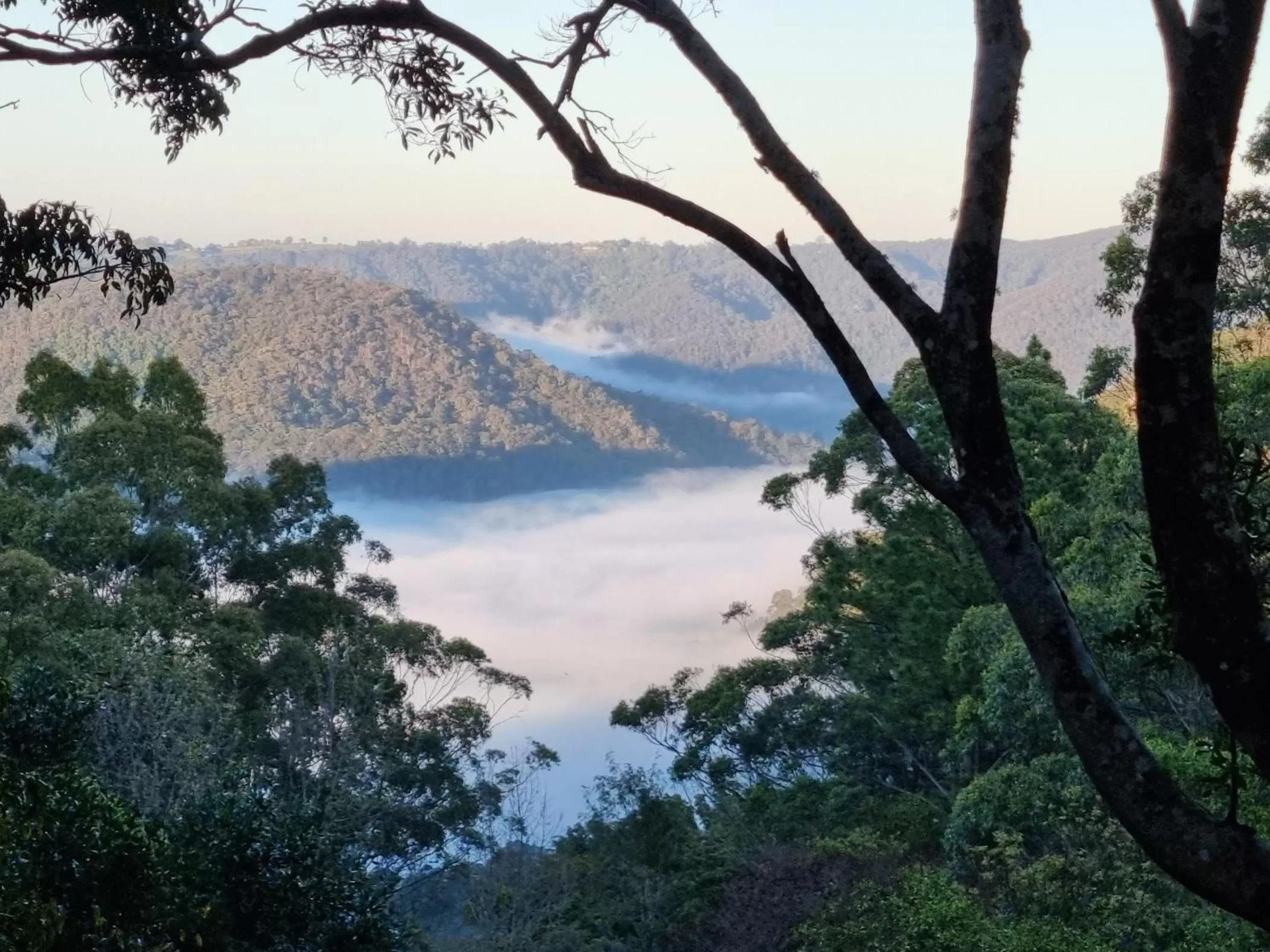 Mountain view in Taman Sari Sunshine Coast Romantic Pet-Friendly Hinterland Retreat