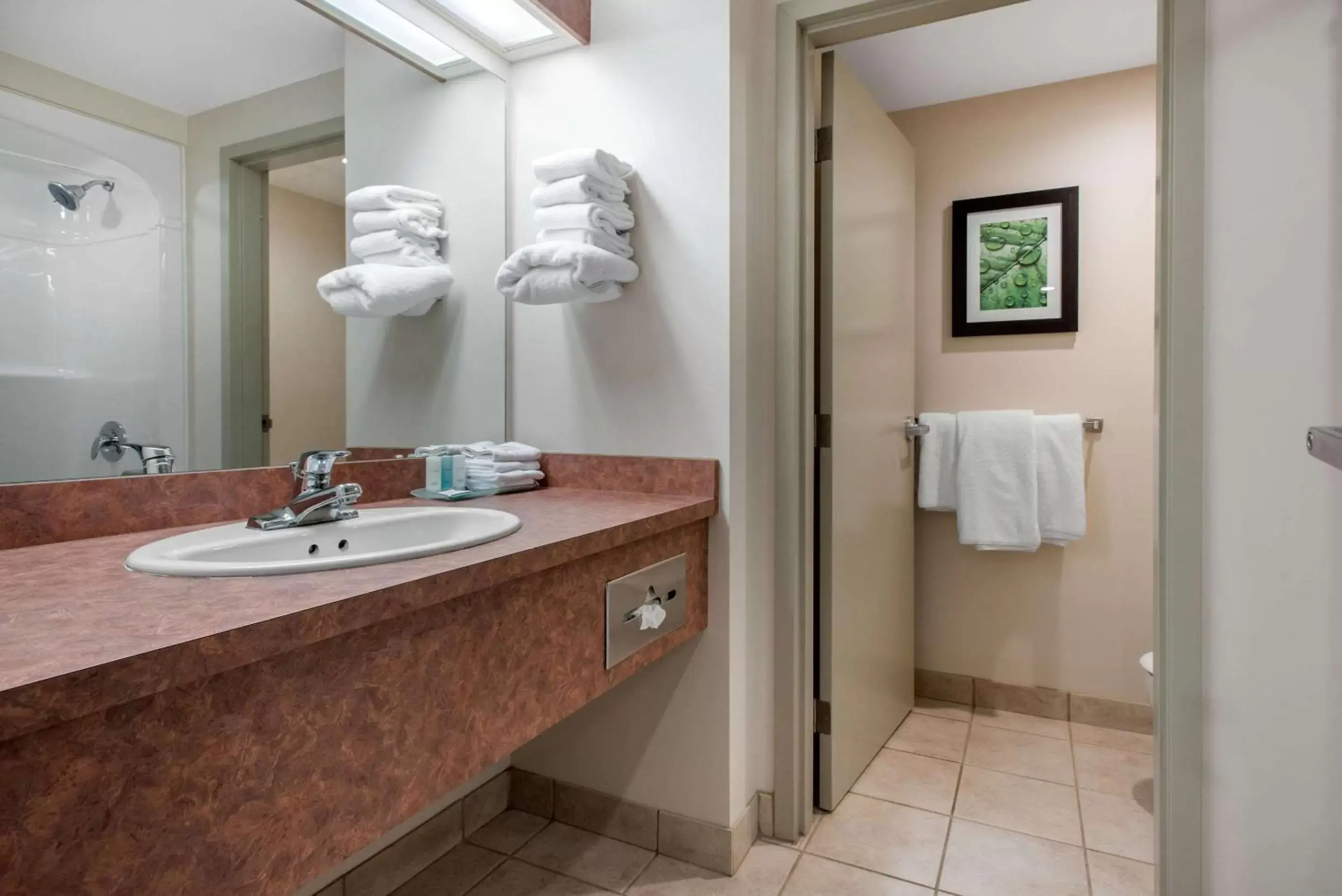 Bathroom in Clarion Hotel & Suites