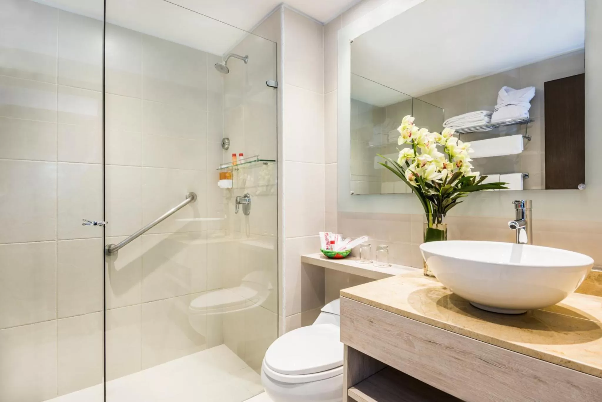 Bathroom in Hotel Rosales Plaza