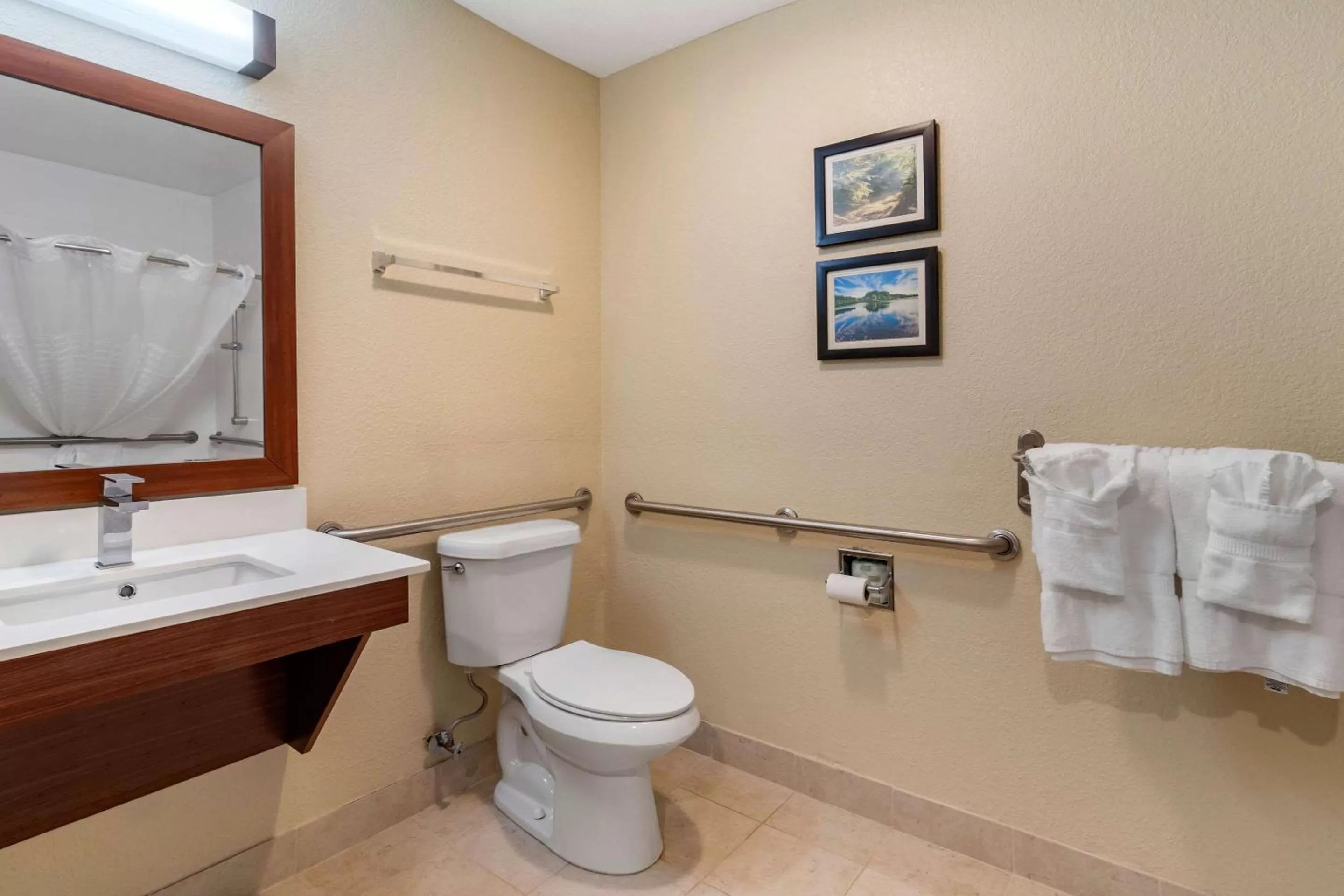 Bathroom in Comfort Inn & Suites South Hill I-85