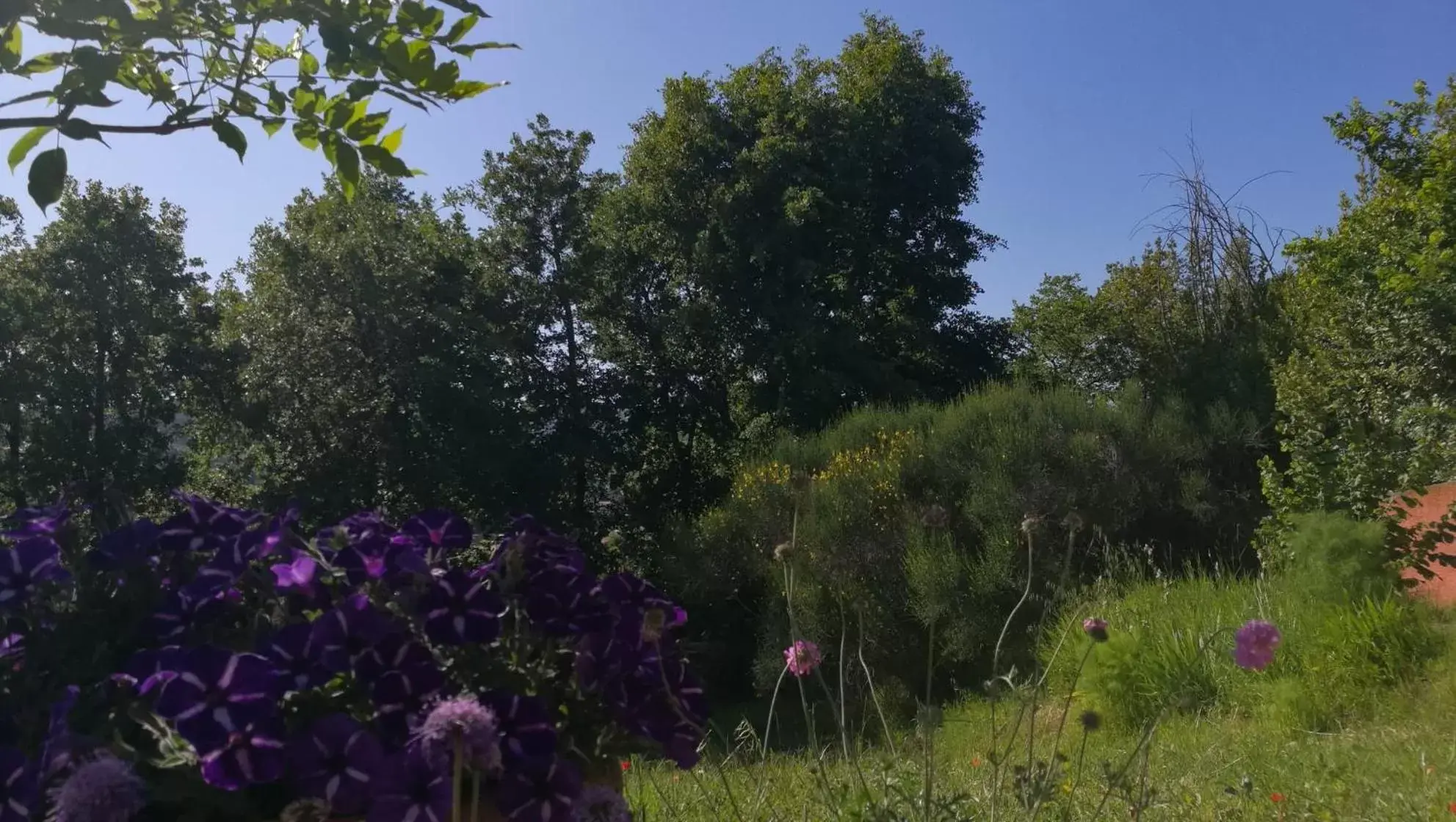 Garden in La Merla