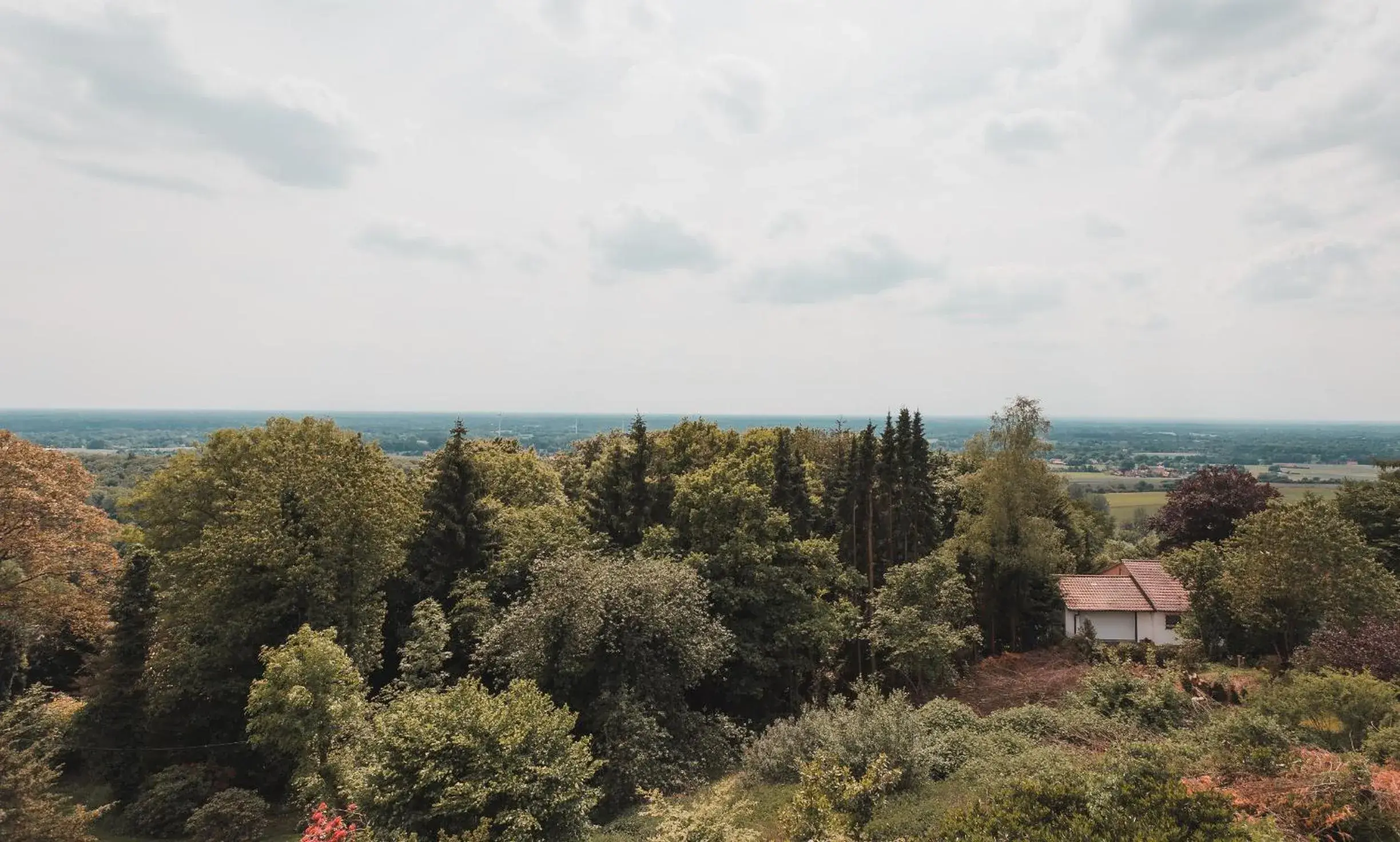 View (from property/room) in Hotel Bismarckhöhe