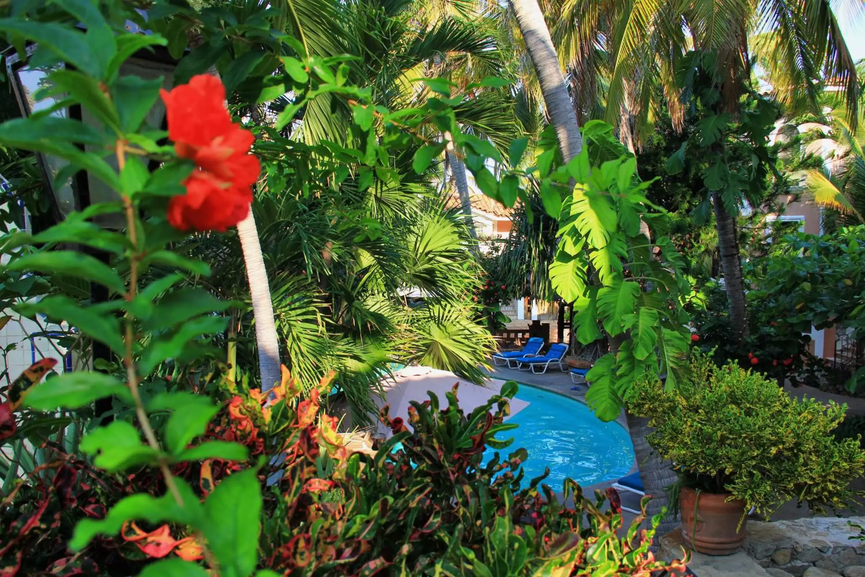 Day, Swimming Pool in Hotel Santa Fe