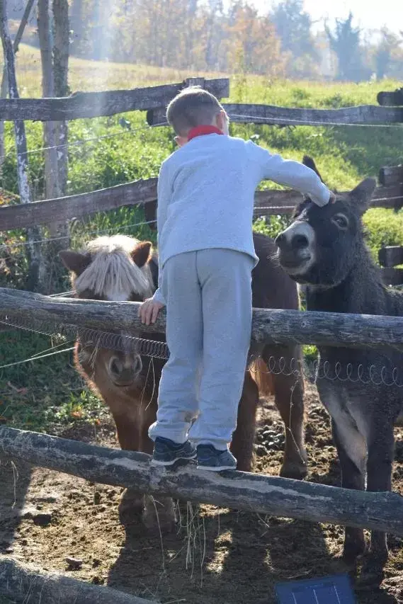 tenuta i musi lunghi