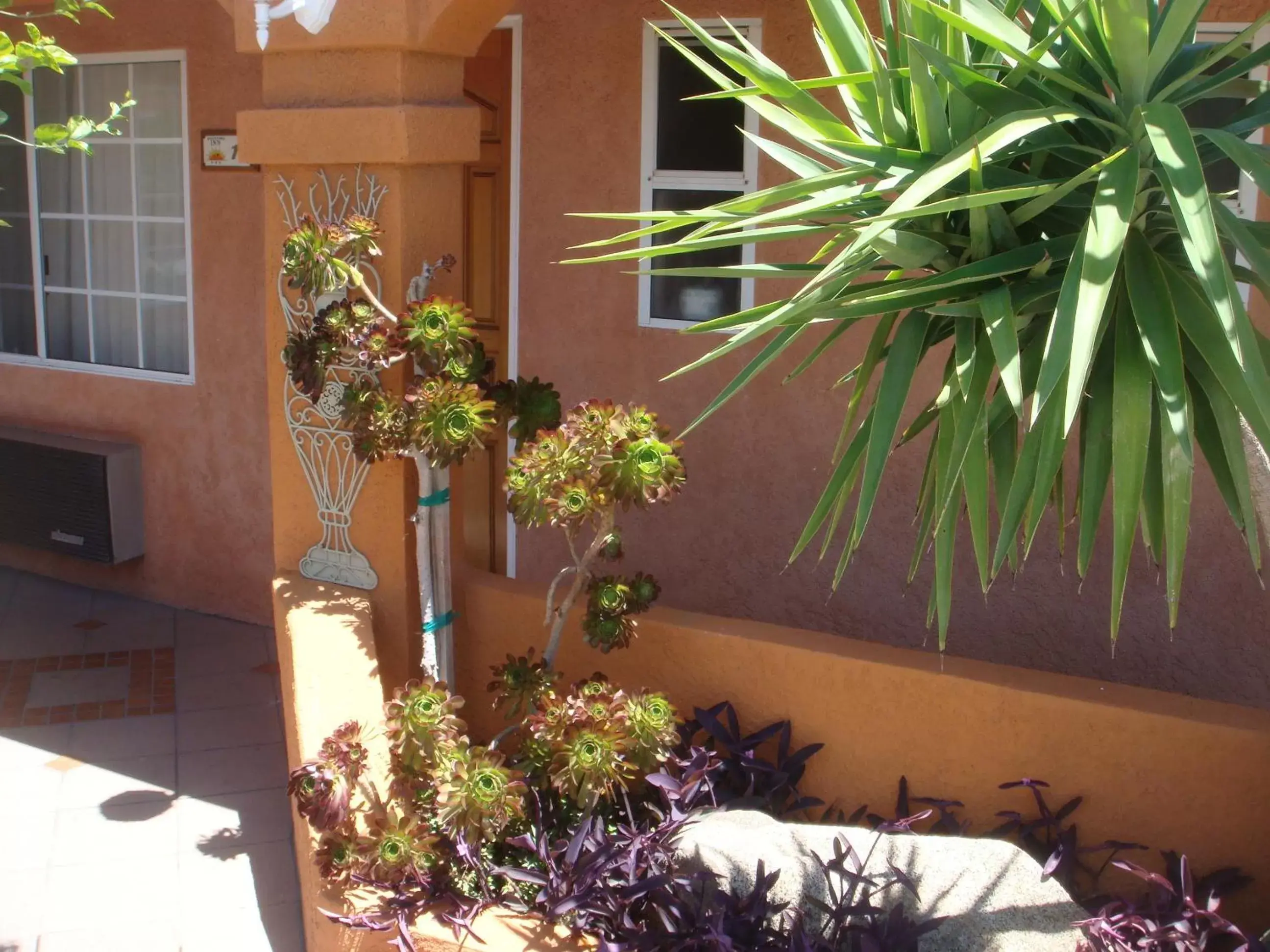 Garden in Economy Inn Los Banos