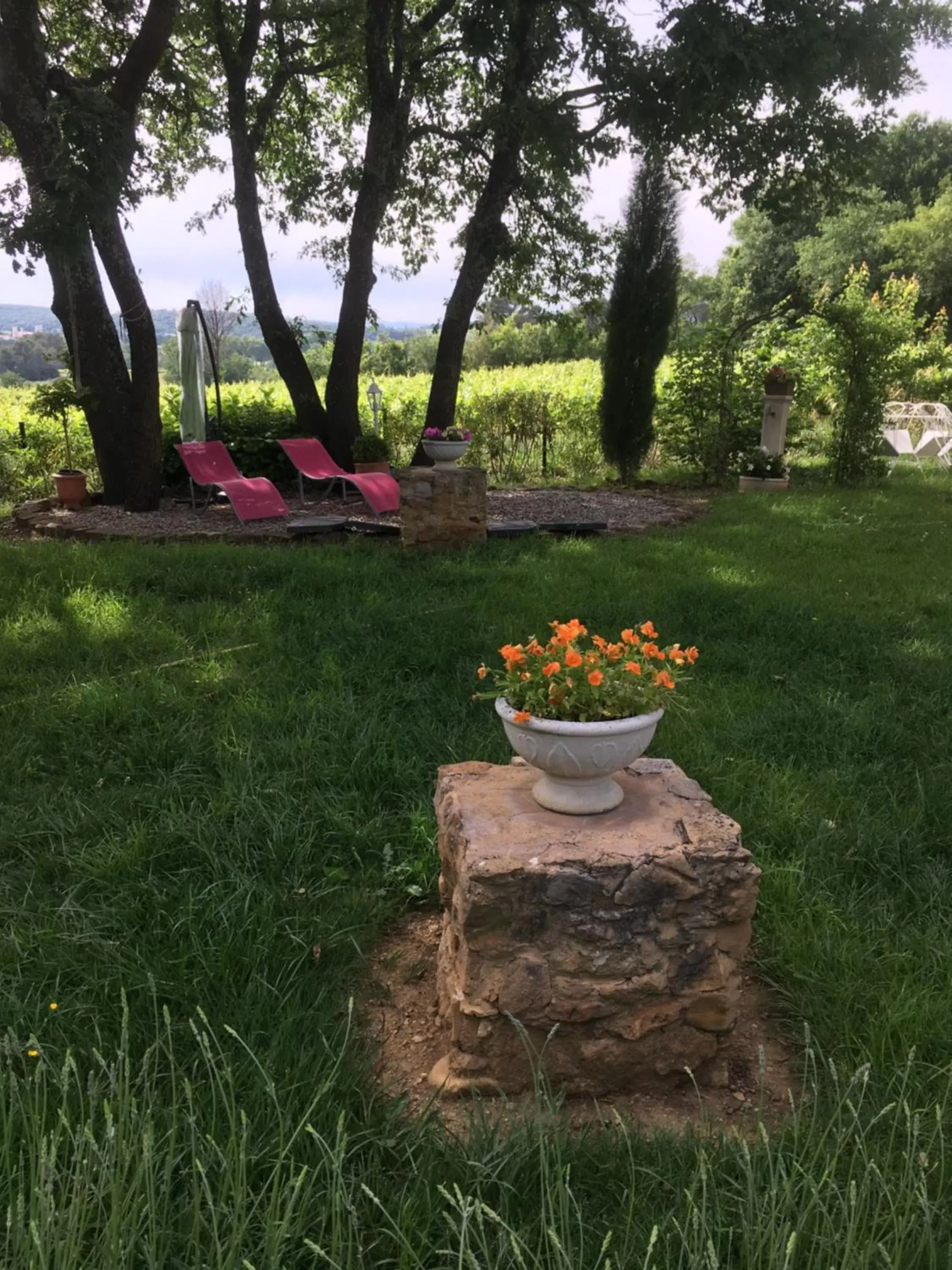 Garden view, Garden in Chambre d'Hôte Couguiolet - avec piscine