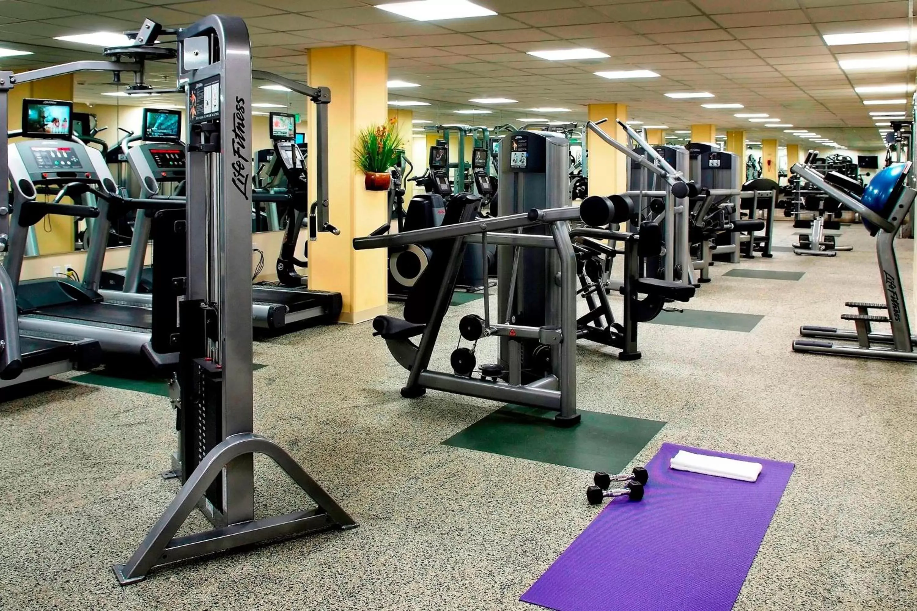 Fitness centre/facilities, Fitness Center/Facilities in Westchester Marriott