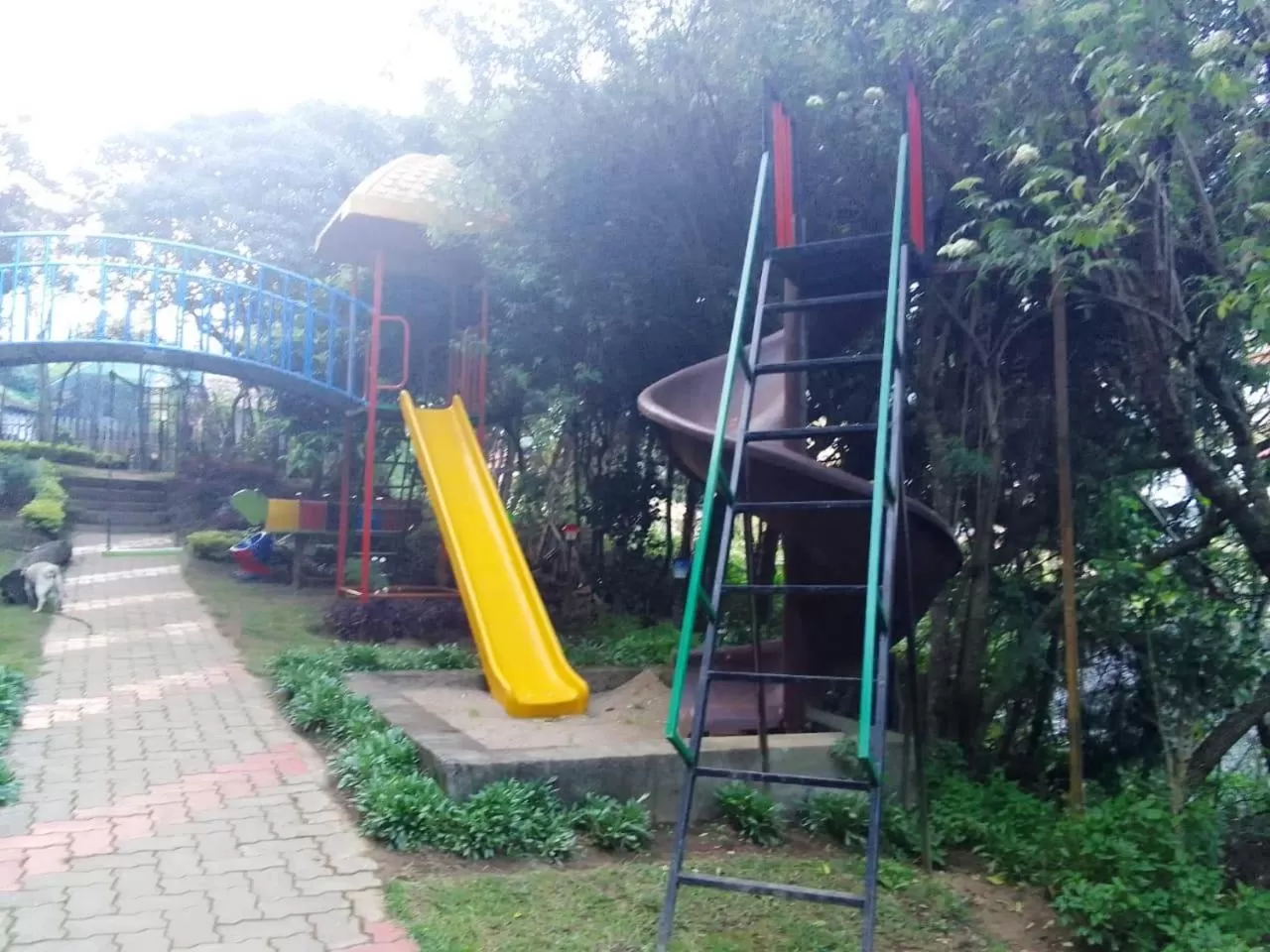 children in Pine Borough Inn