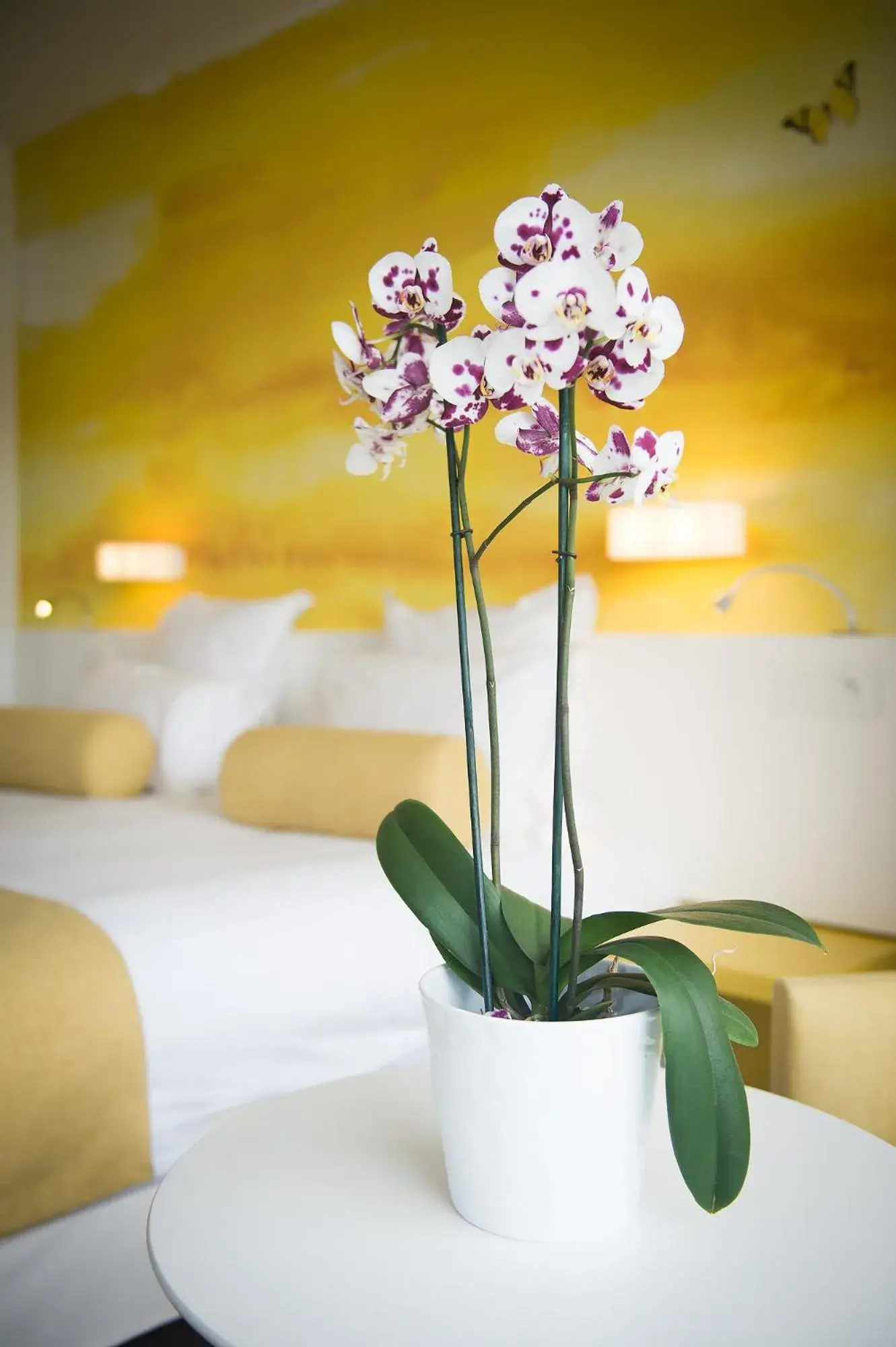 Bedroom, Bed in Hotel Restaurant La Vague de Saint Paul Bedroom, Bed in Hotel Restaurant La Vague de Saint Paul