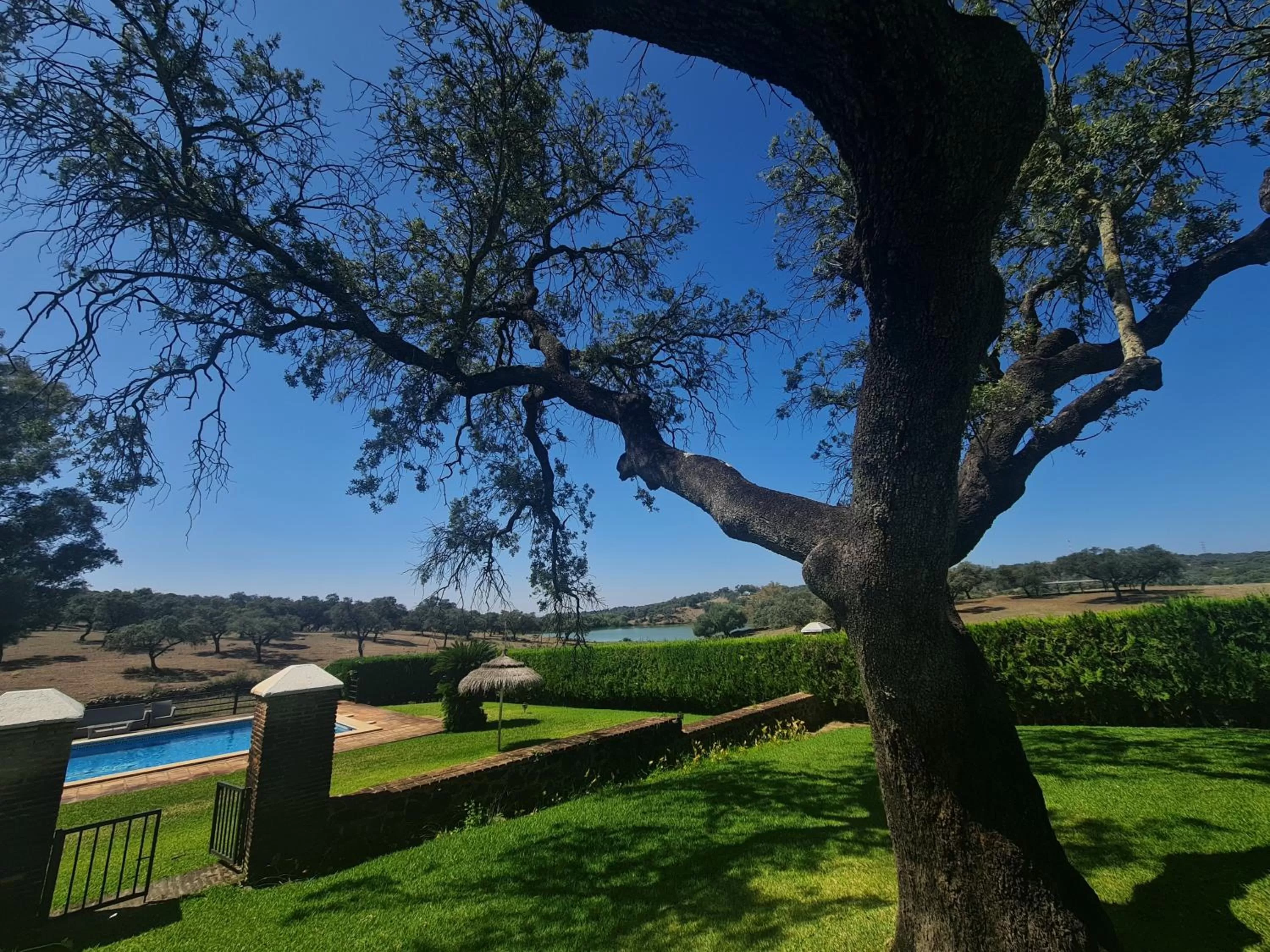 Spring in Alojamiento Rural Finca Barral