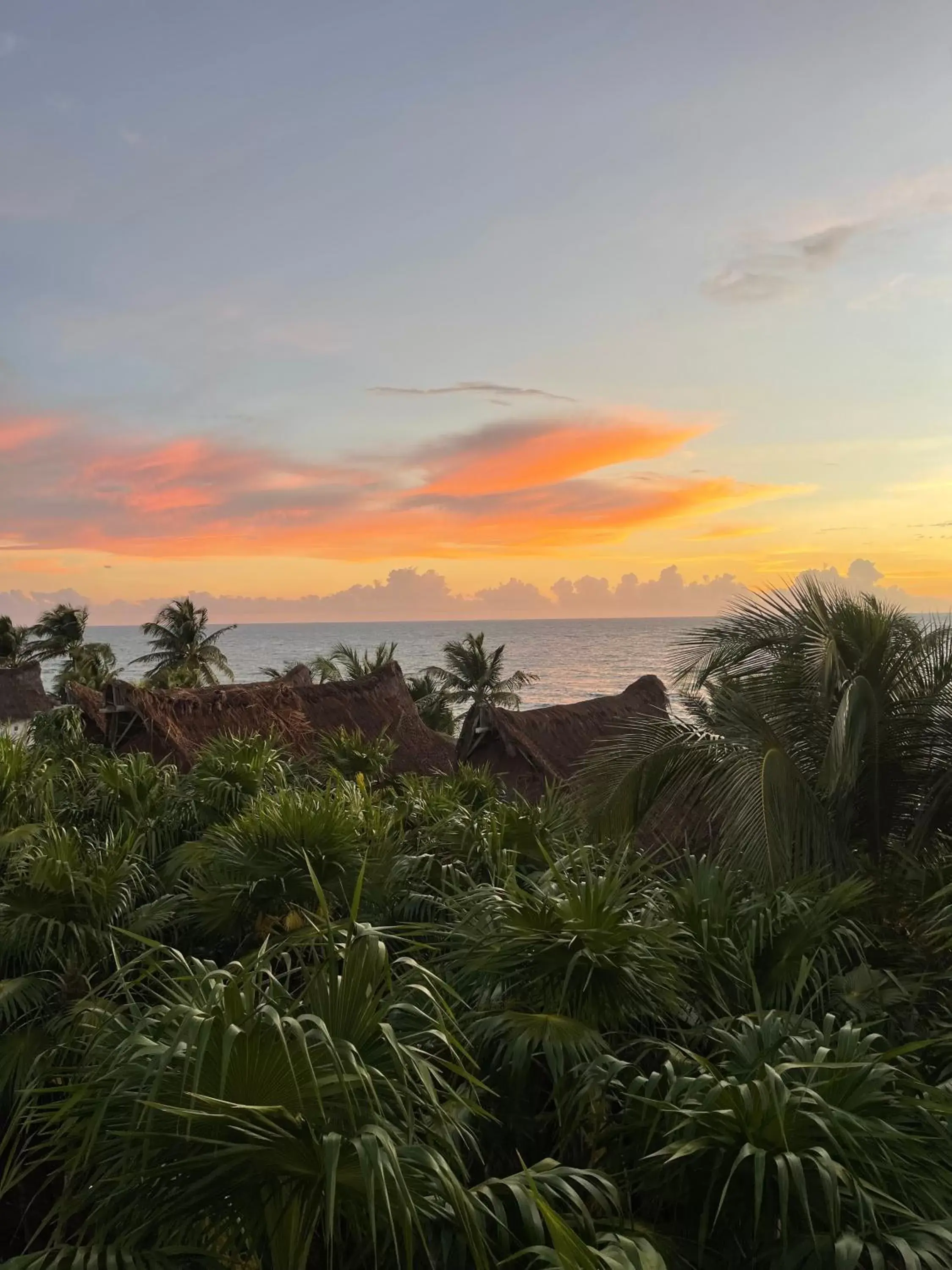 Beach in Sueños Tulum