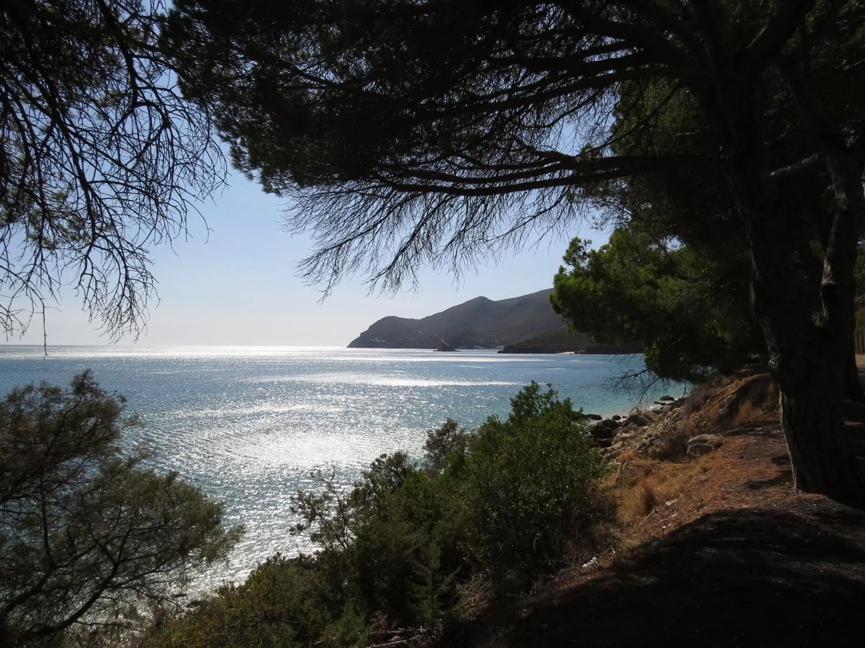 Natural landscape in Novotel Setubal