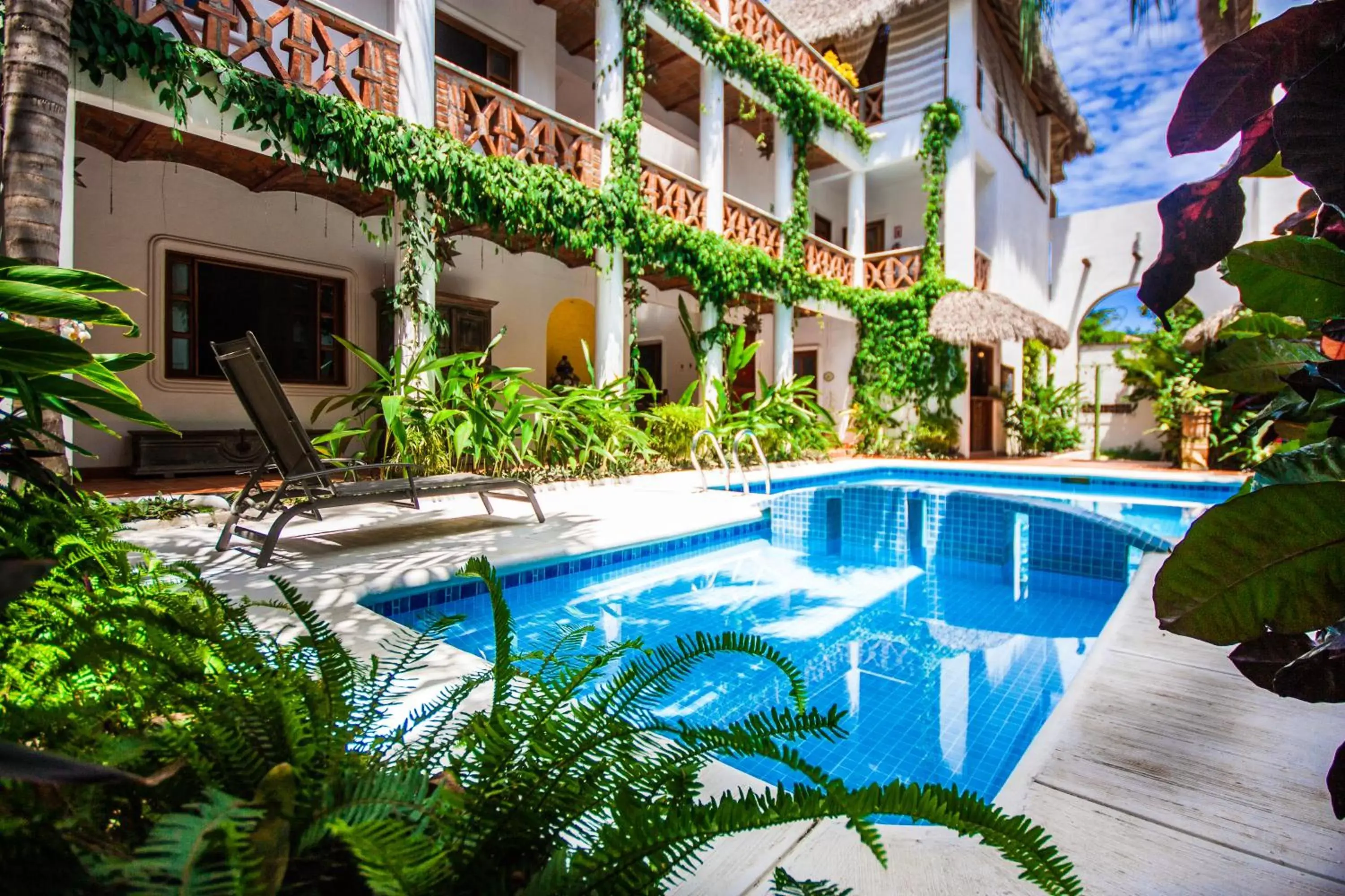 Garden, Swimming Pool in Hotelito Los Sueños