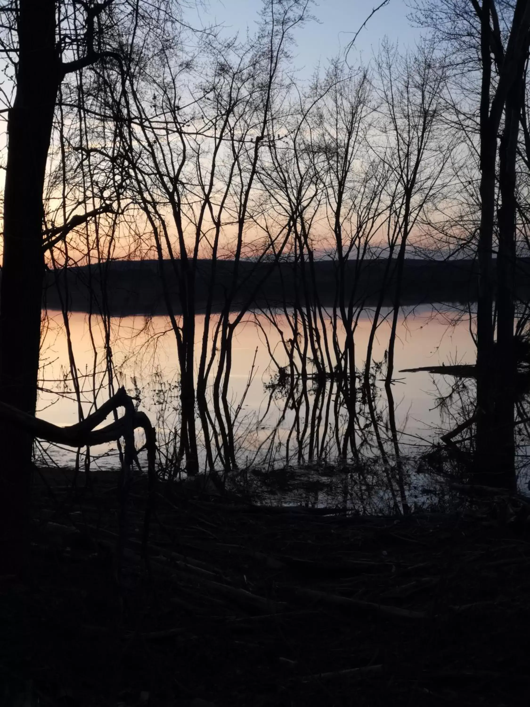 Natural landscape in By The River B&B