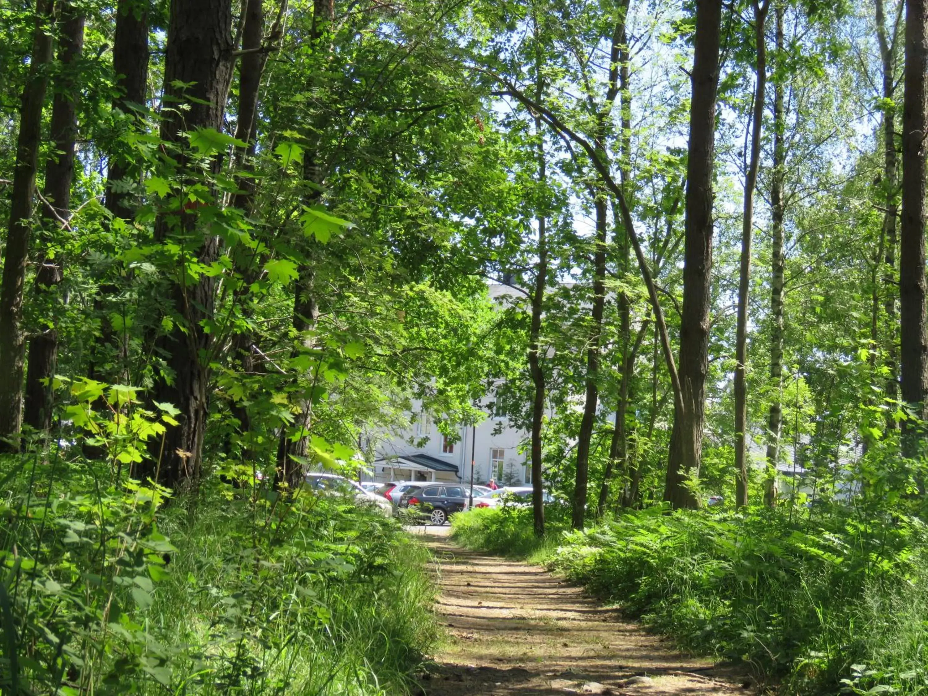 Area and facilities, Garden in Blommenhof Hotel