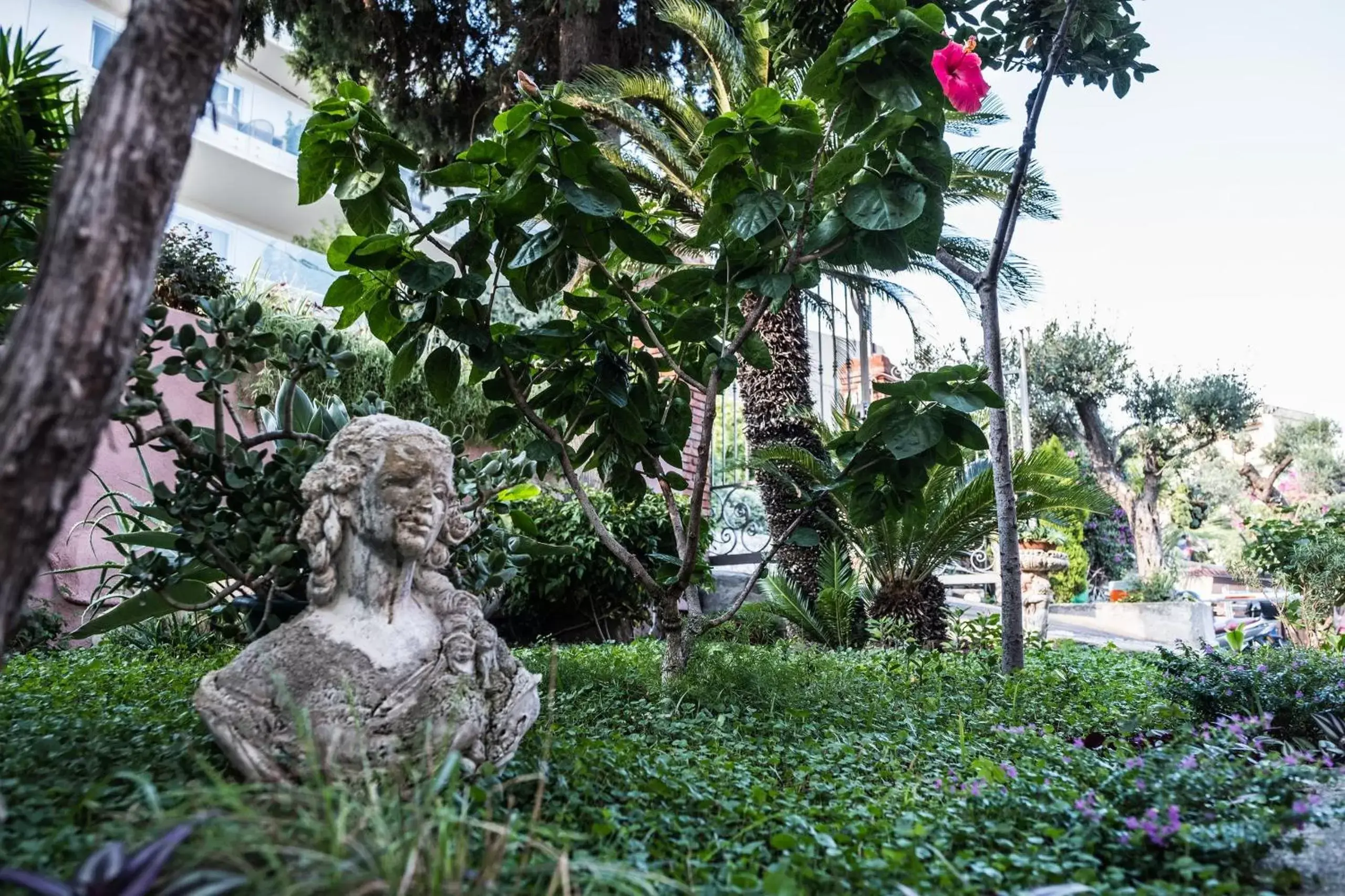 Garden in Hotel Villino Gallodoro