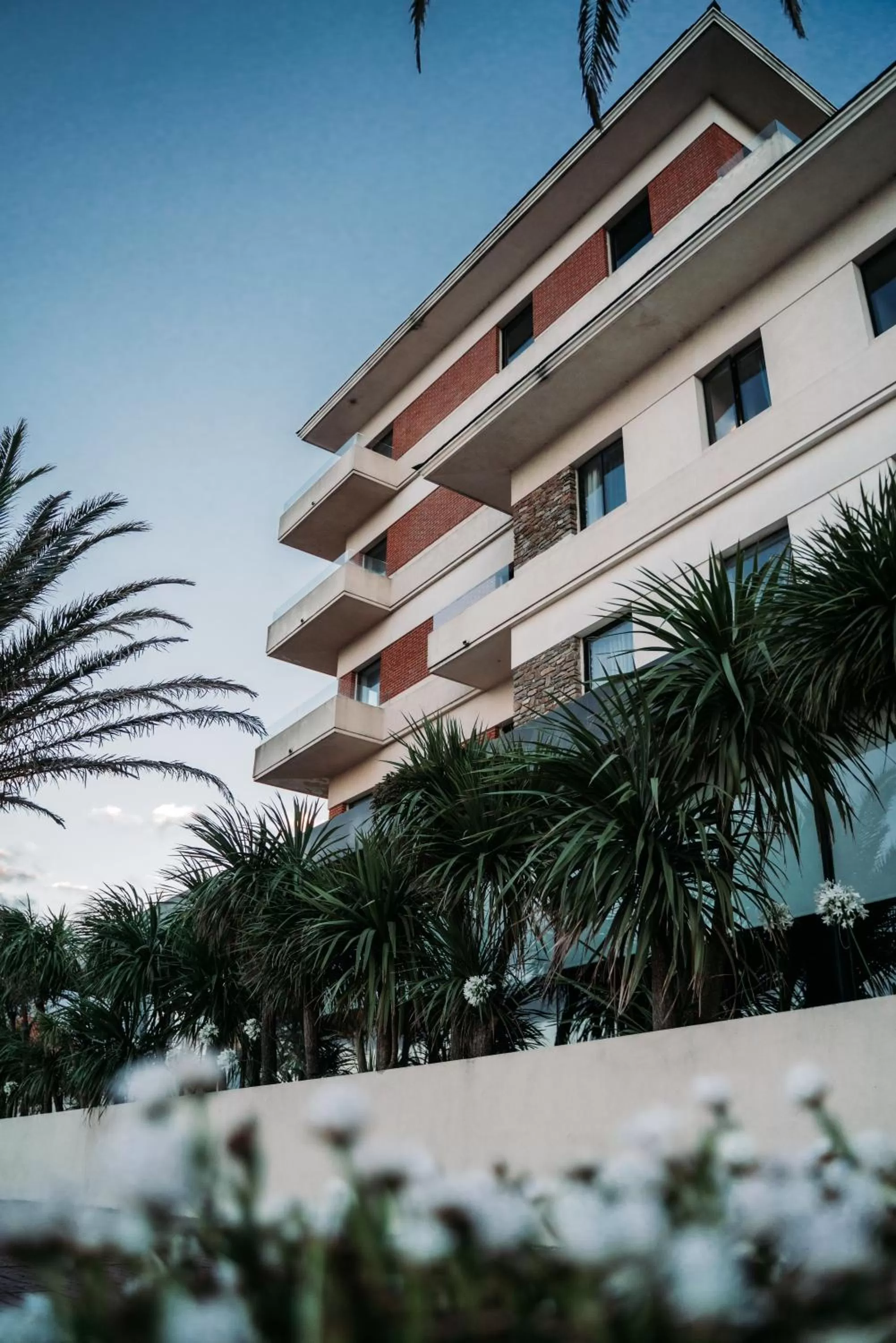 Property building in Cottage Carrasco