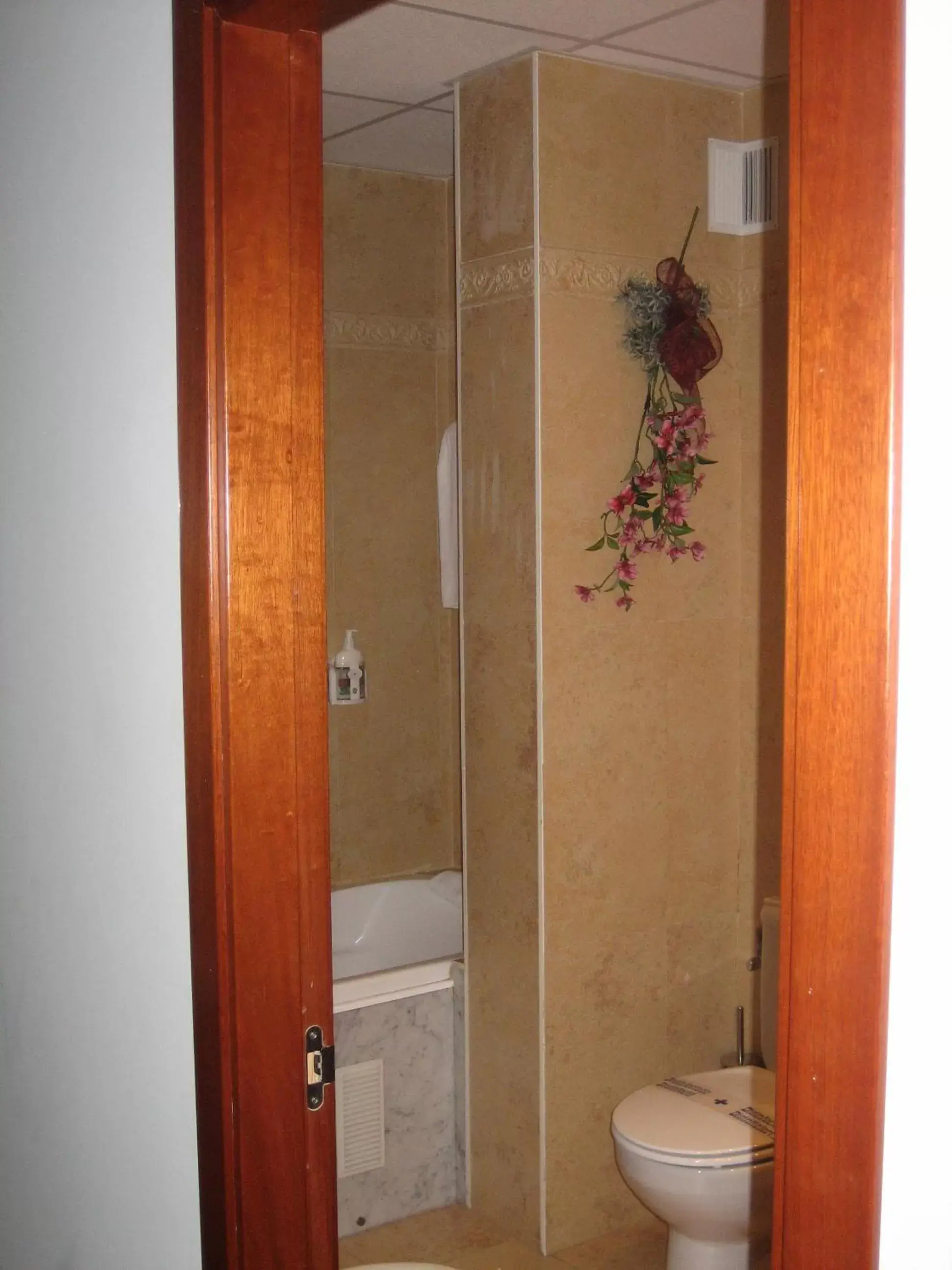 Toilet, Bathroom in Hotel Santiago
