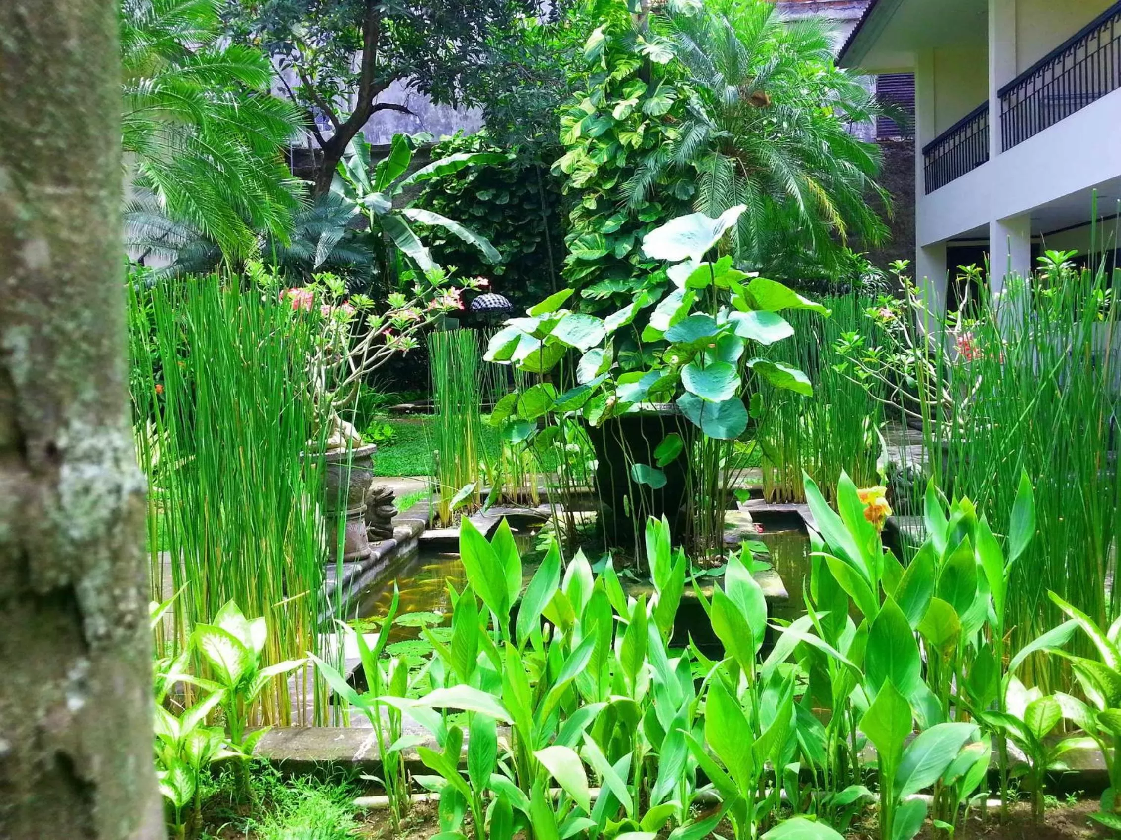 Garden in Legian Paradiso Hotel