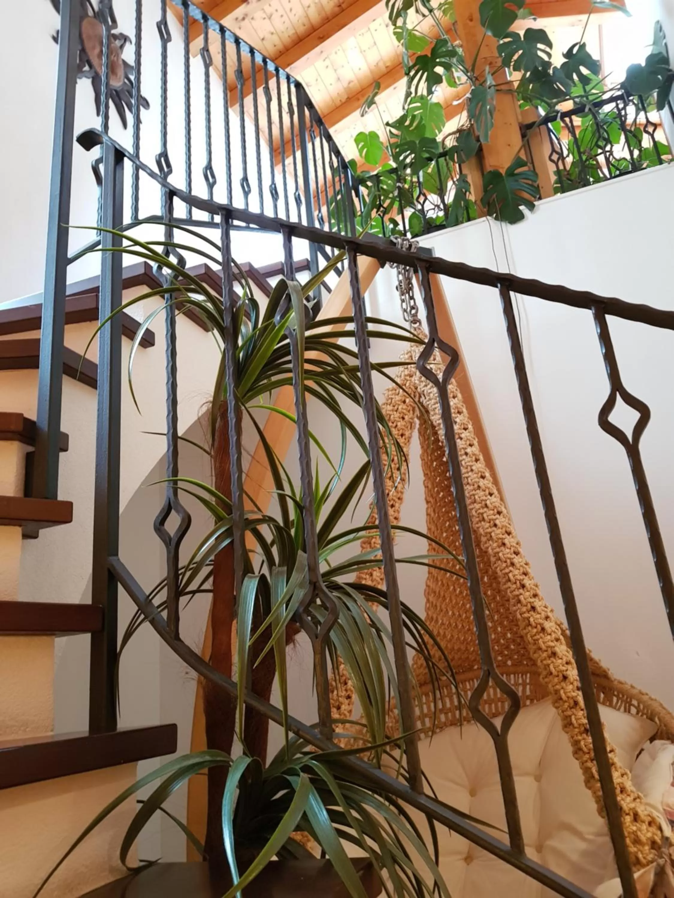 Spa and wellness centre/facilities in Hotel Europa