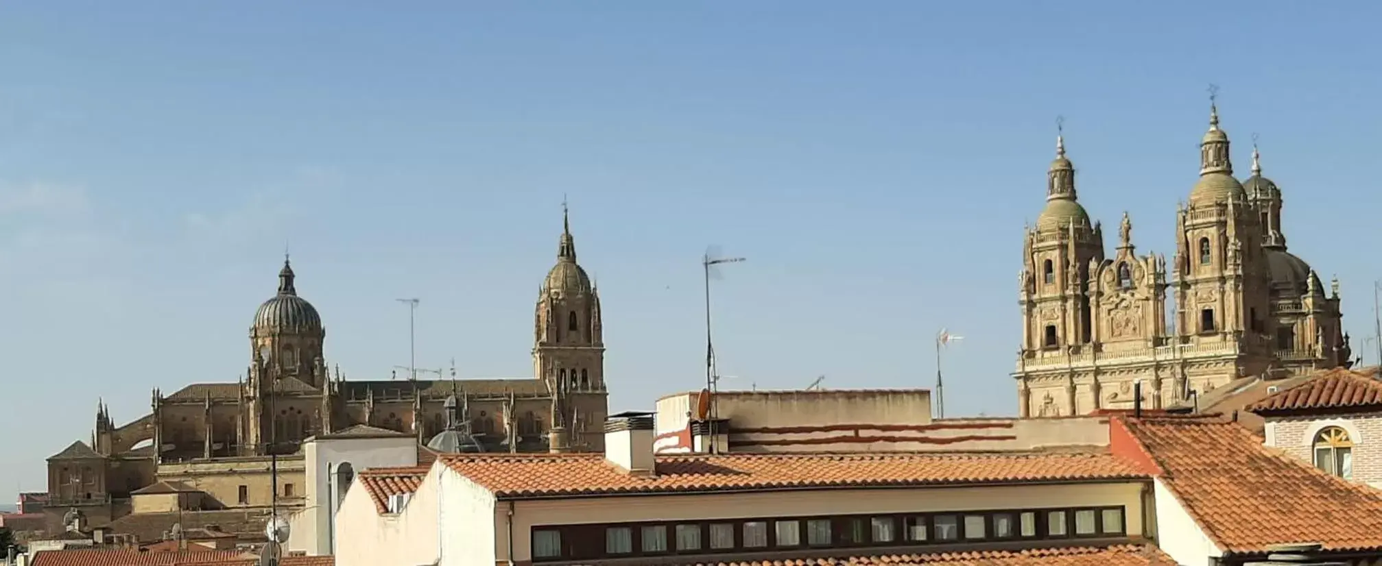 Nearby landmark in Hotel Matilde by gaiarooms