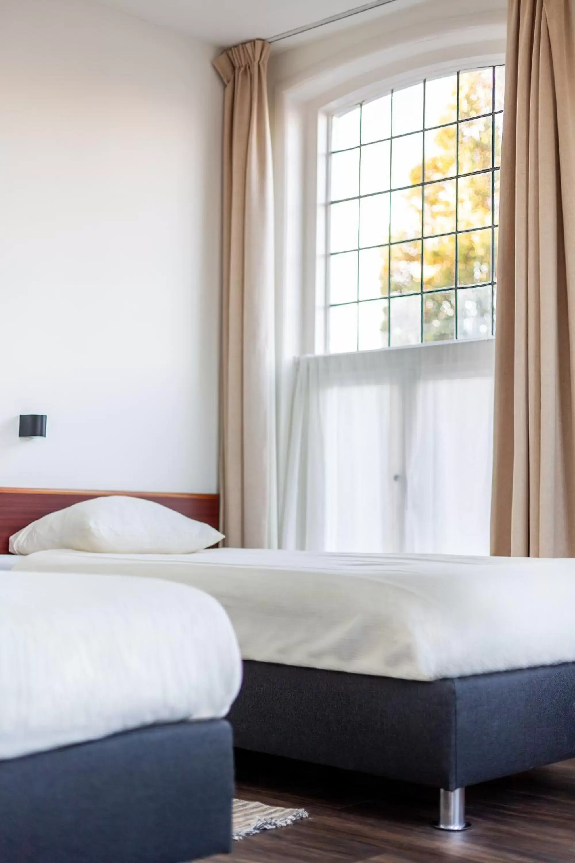 Single Room in Het Wapen van Leiden Single Room in Het Wapen van Leiden