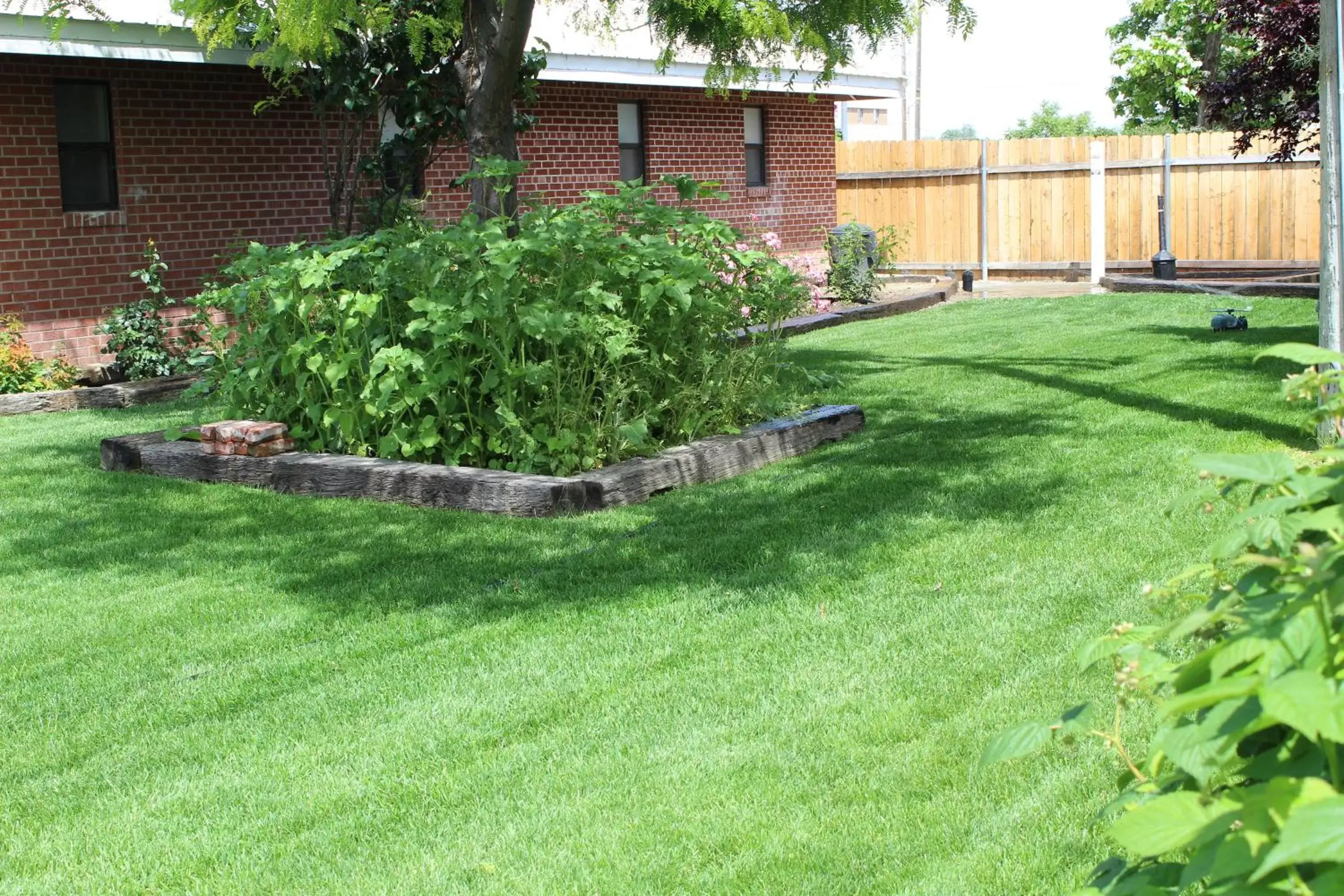 Area and facilities, Garden in Ontario Inn