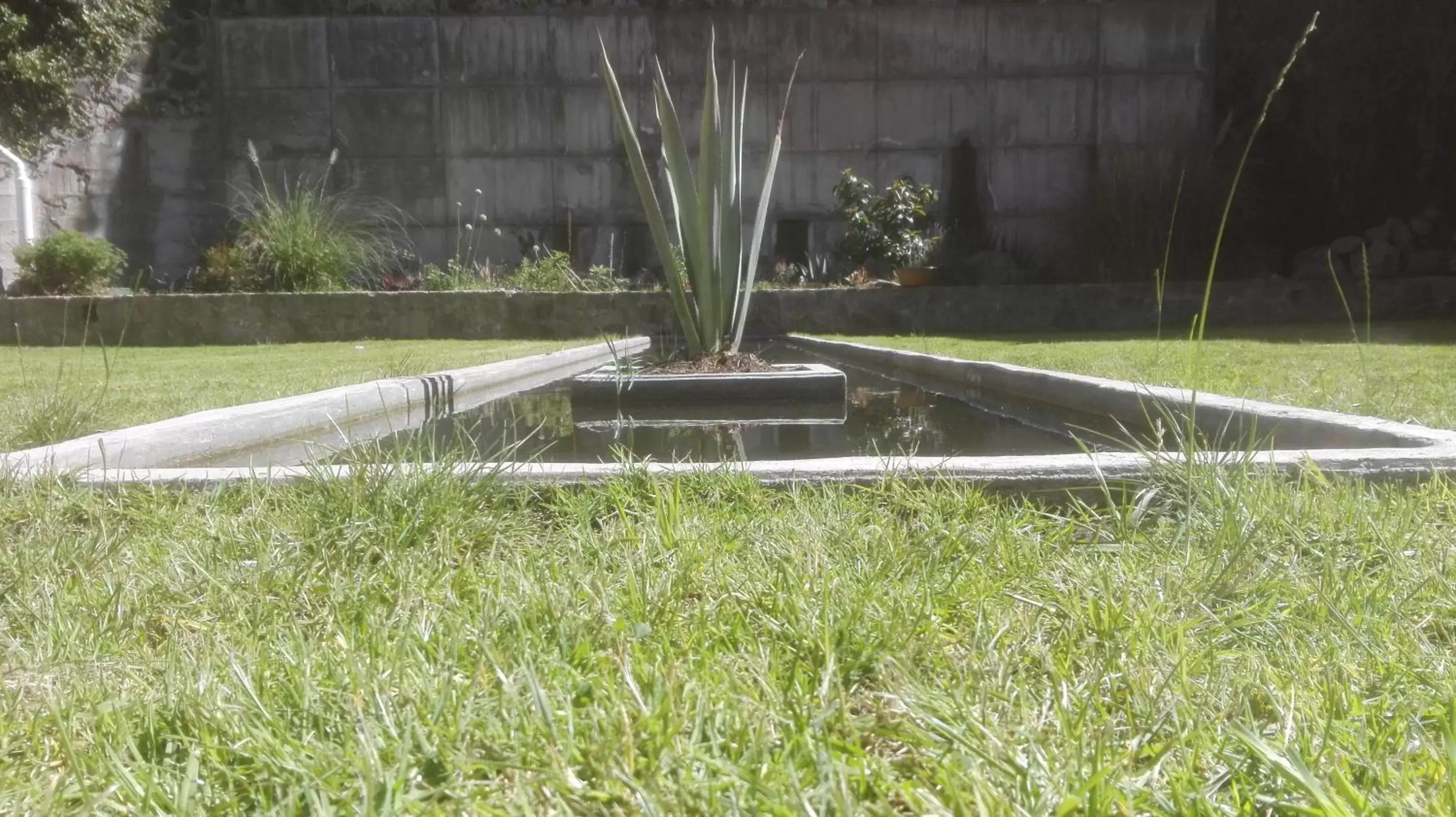 Garden in Casa Villaliz