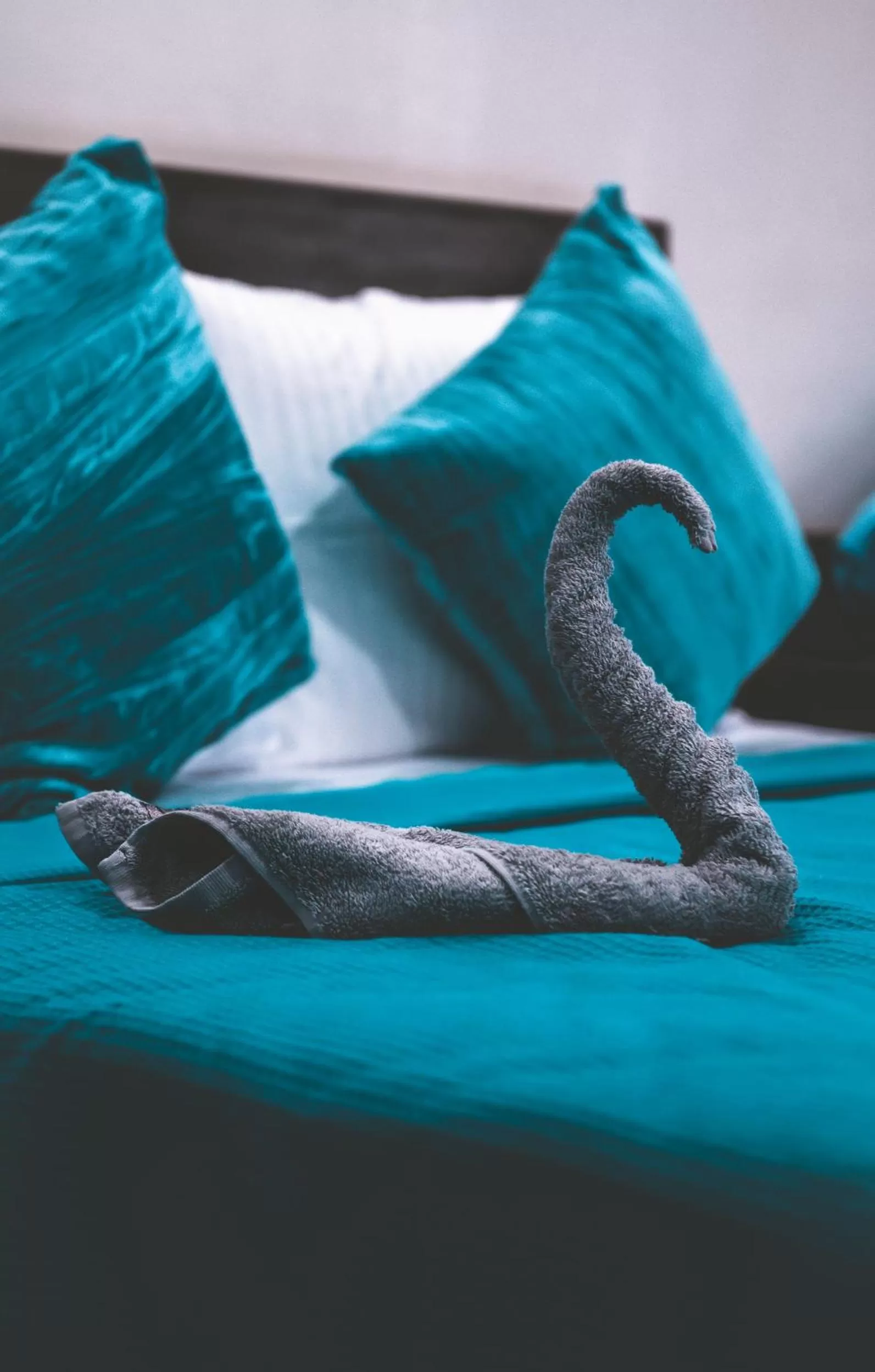 Bed in Seaview Panorama Boatel