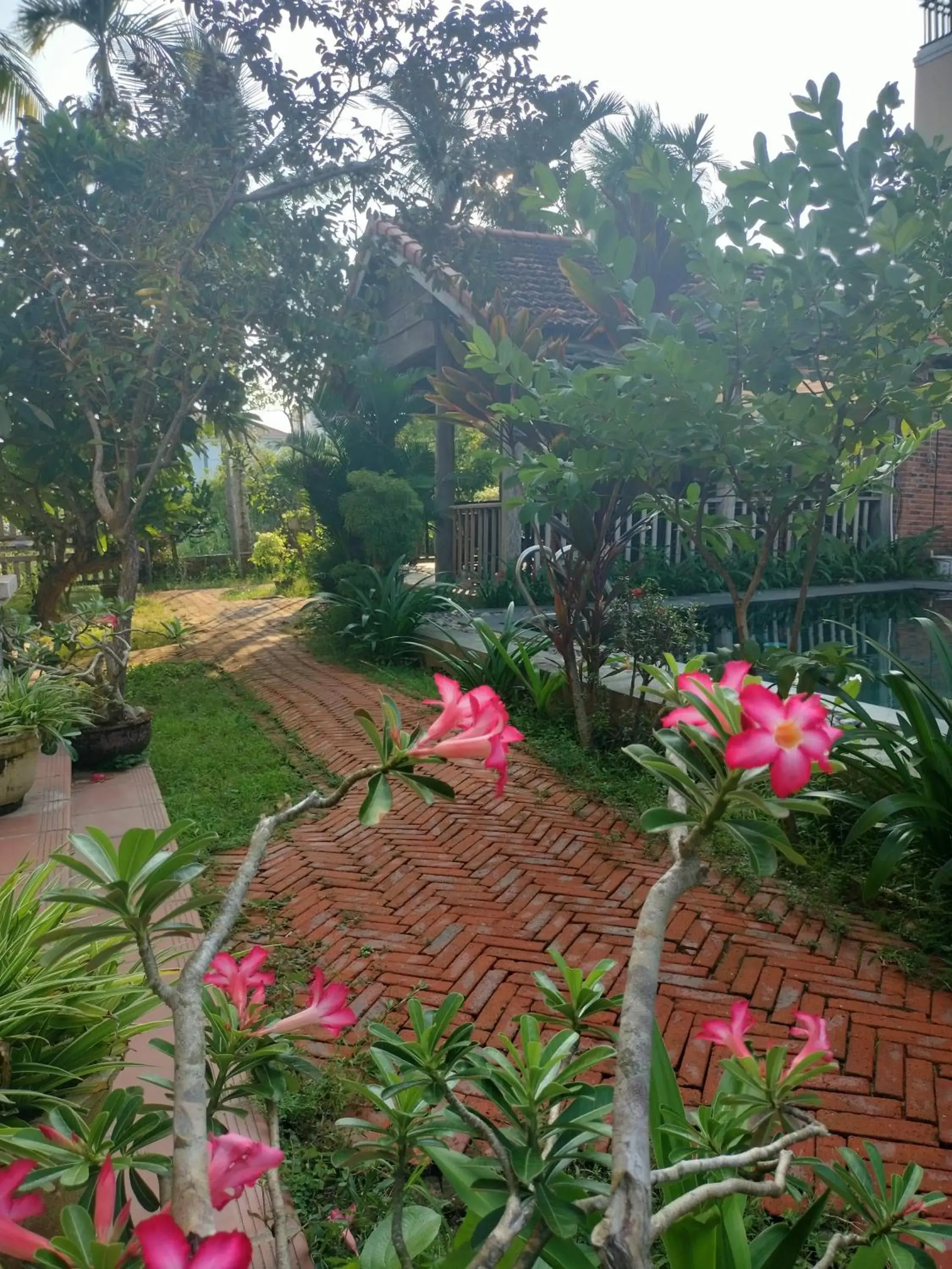 Garden in Lama Villa Hoi An