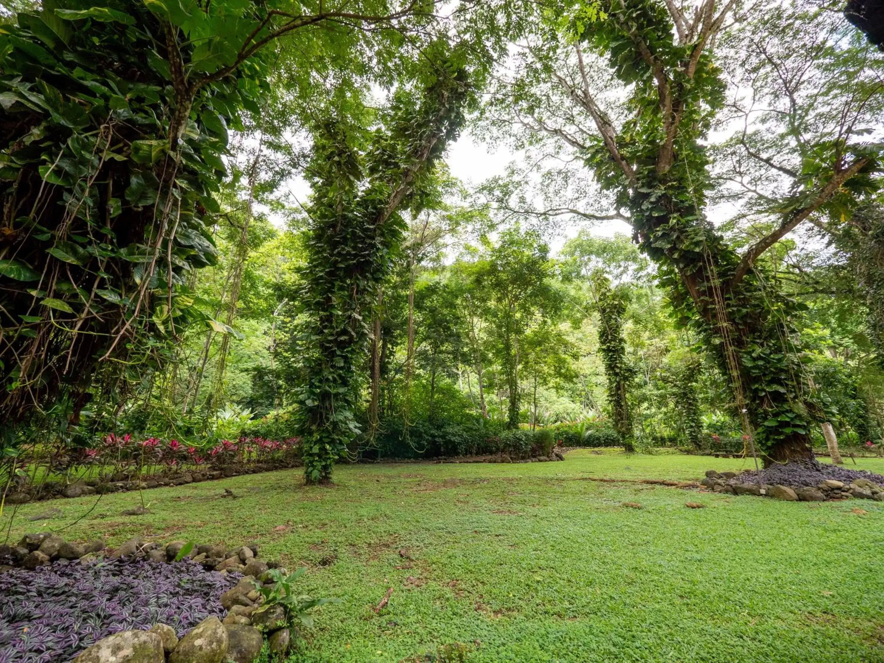 Natural landscape, Garden in Villa Lapas Jungle Village