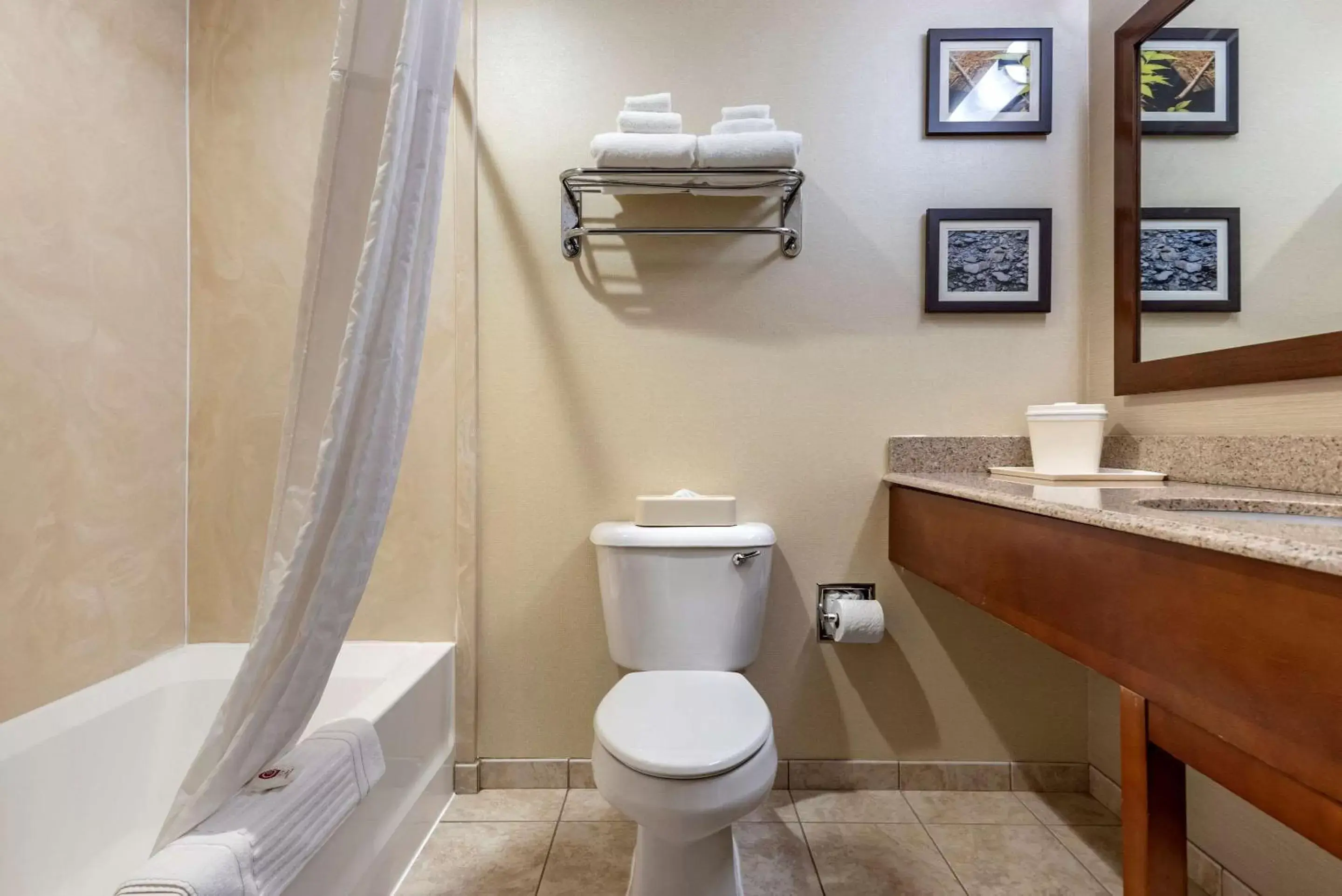 Bathroom in Comfort Inn & Suites Farmington - Victor