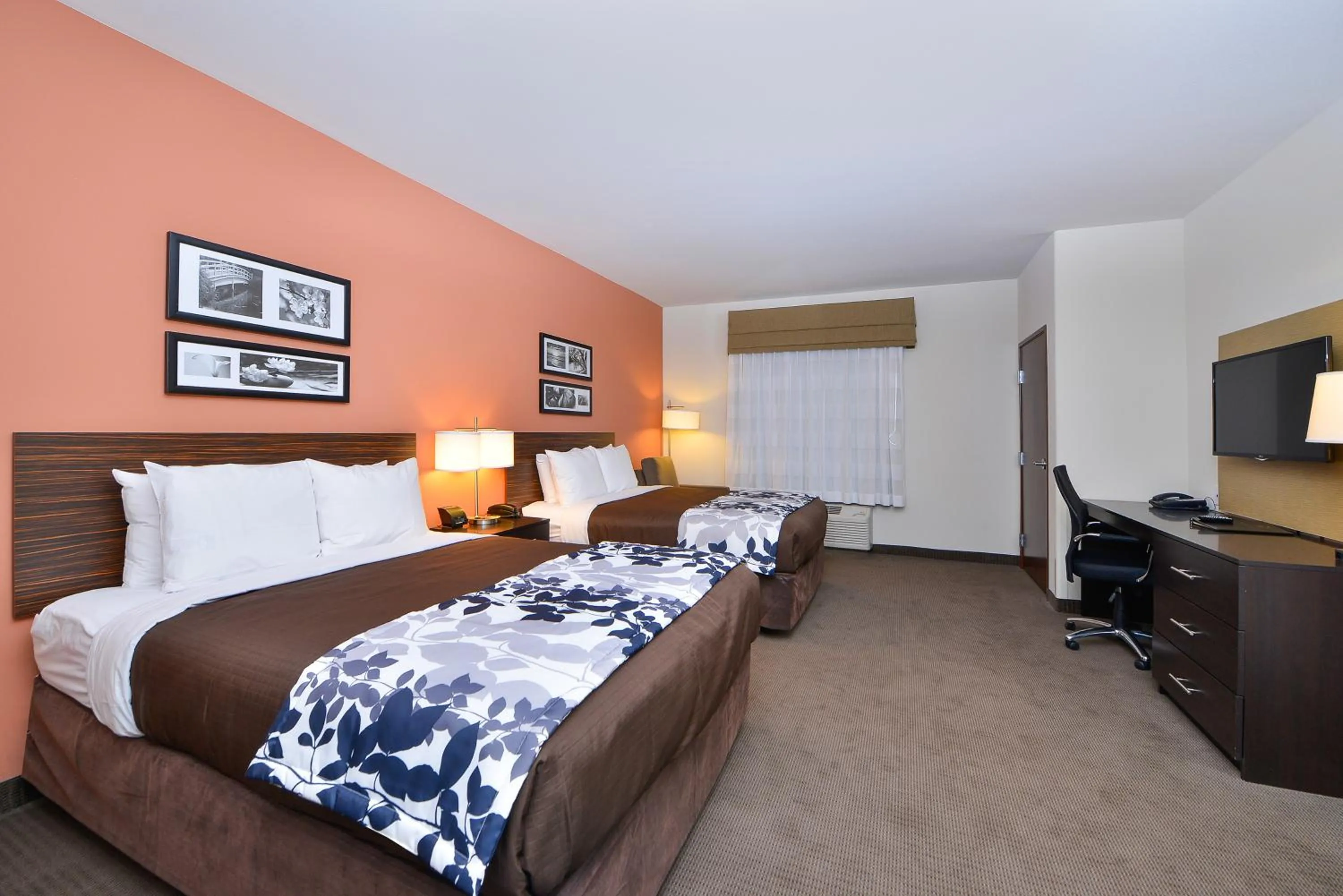 Photo of the whole room, Bed in Sleep Inn & Suites Austin – Tech Center